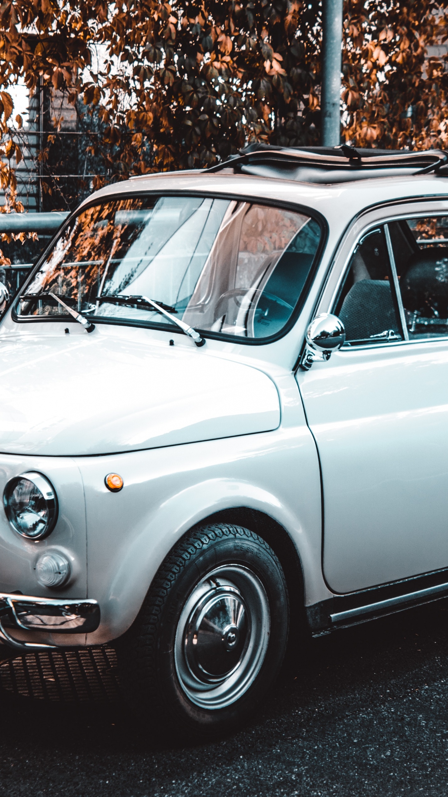 Обои авто, городской автомобиль, Фиат 500, классический автомобиль, автомобильное освещение в разрешении 1440x2560