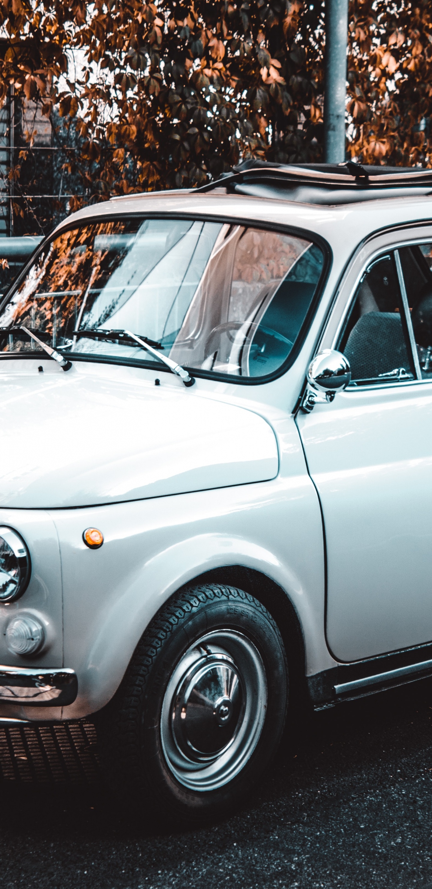 Обои авто, городской автомобиль, Фиат 500, классический автомобиль, автомобильное освещение в разрешении 1440x2960