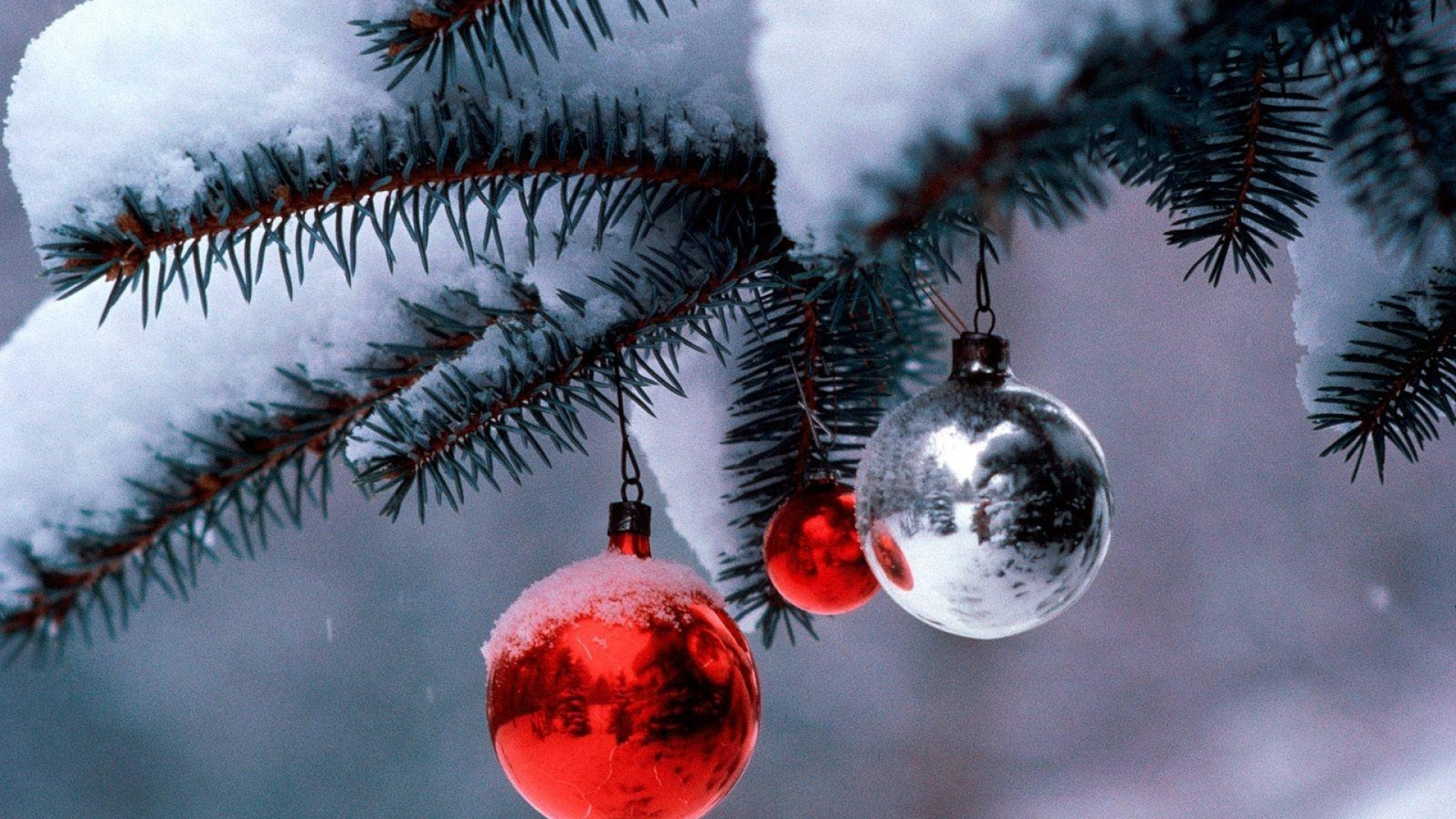 Обои елка, Рождественские украшения, ель, пихта, Рождество в разрешении 1920x1080