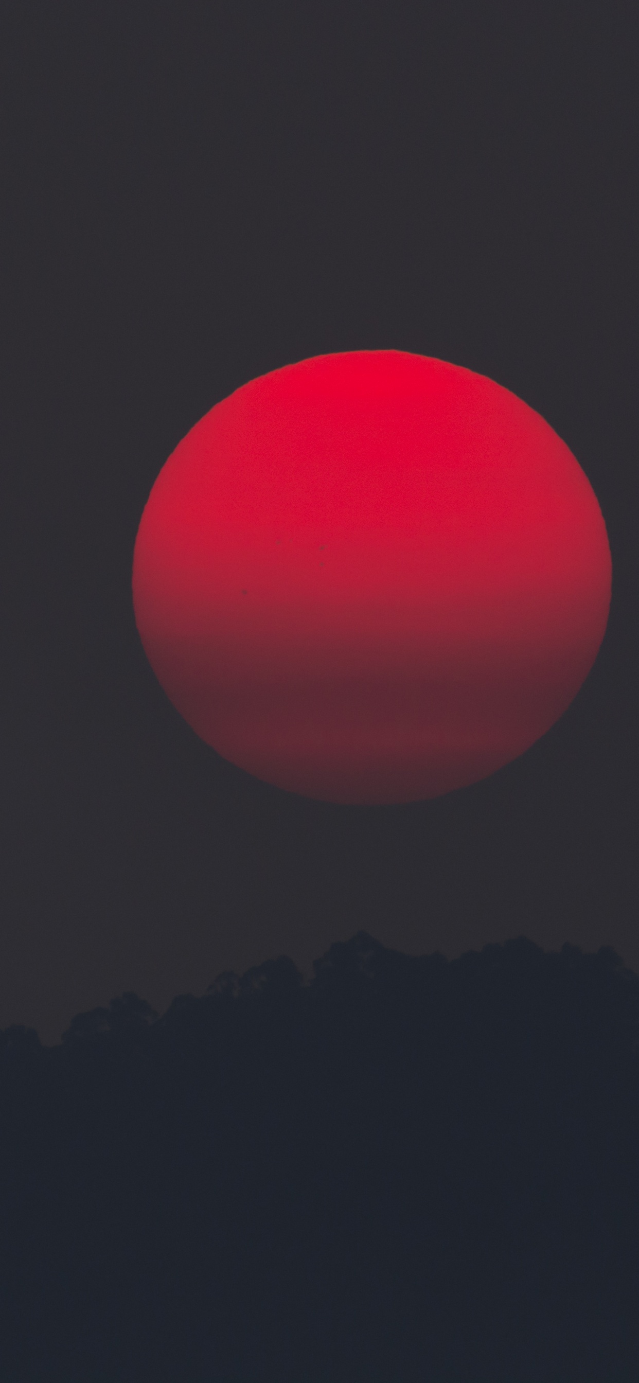 Обои луна, красный цвет, атмосфера, горизонт, дерево в разрешении 1242x2688