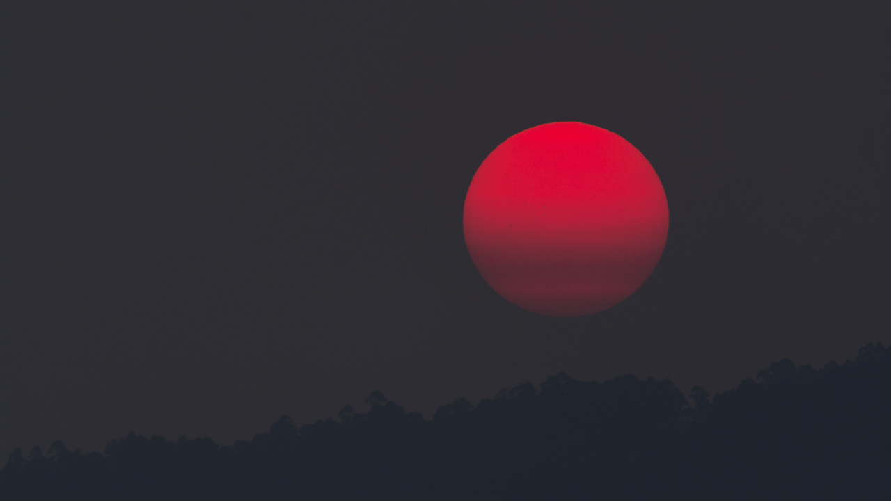 Обои луна, красный цвет, атмосфера, горизонт, дерево в разрешении 1280x720