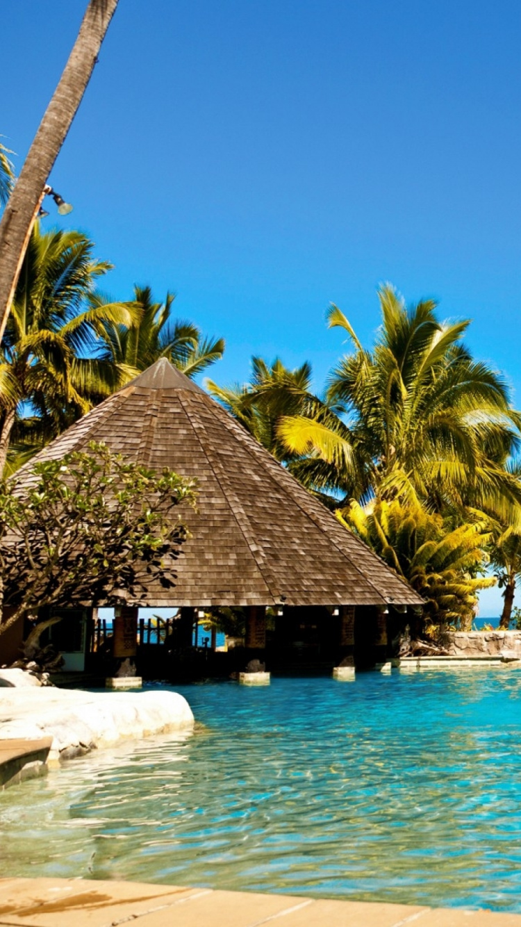 Обои плавательный бассейн, прибежище, отпуск, тропическая зона, Карибский бассейн в разрешении 750x1334