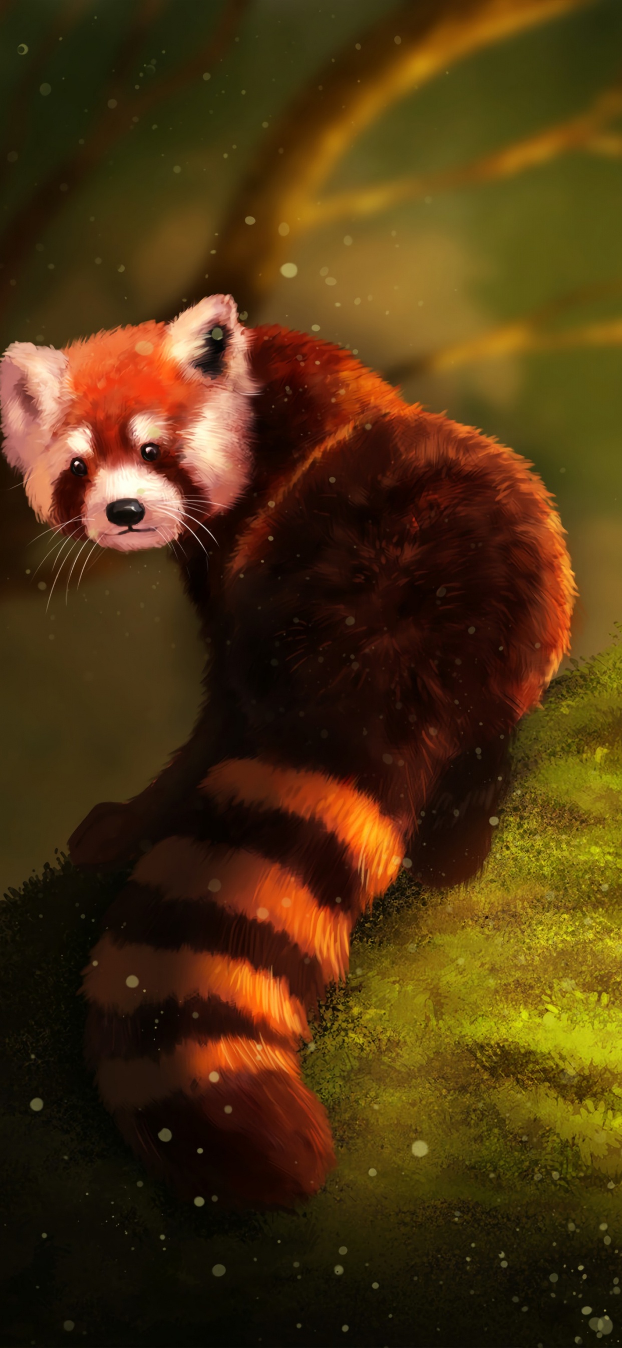 Обои Красная панда, гигантская панда, живопись, наземные животные, морда в разрешении 1242x2688