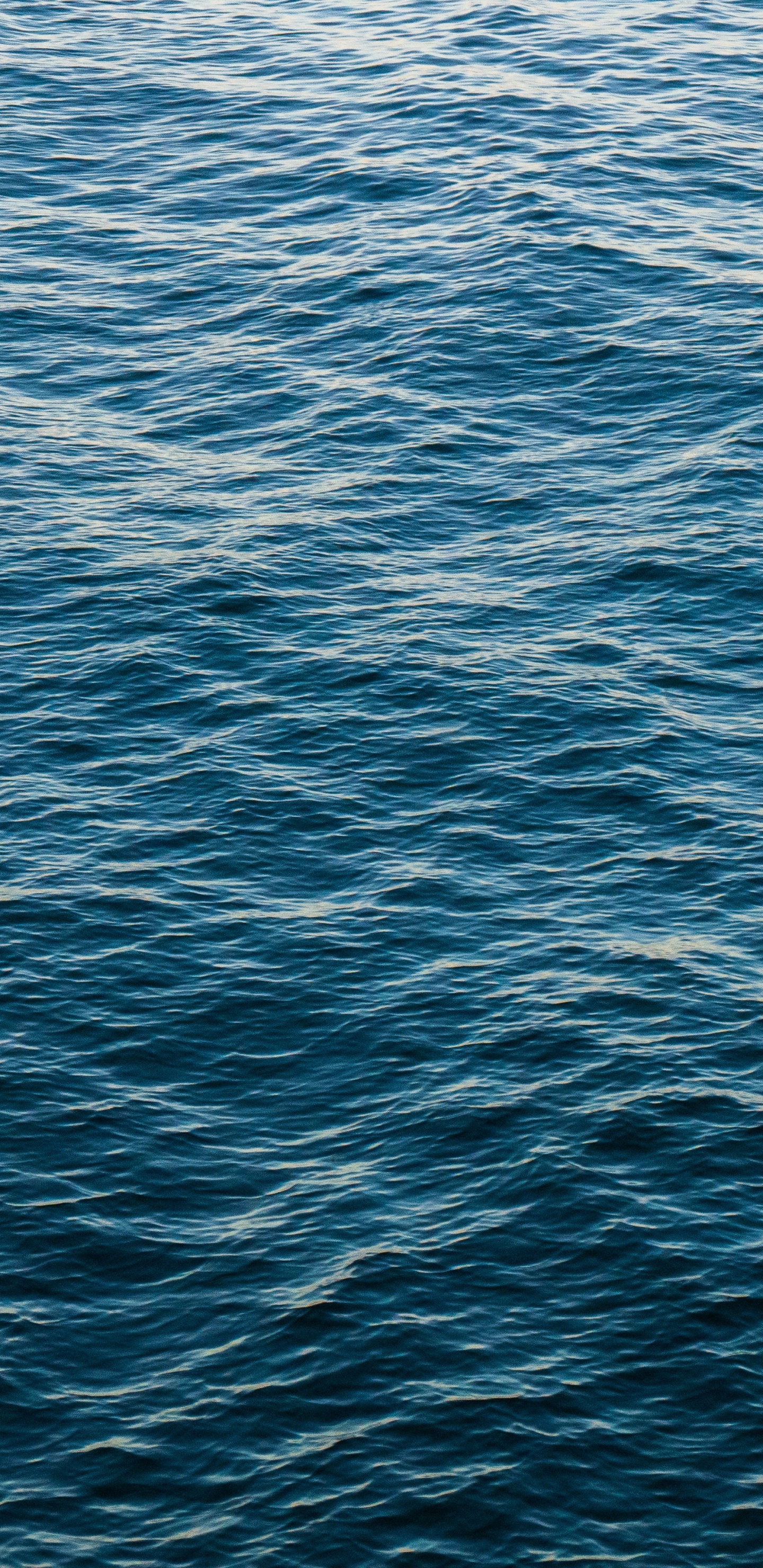 Обои синий, вода, море, океан, Аква в разрешении 1440x2960