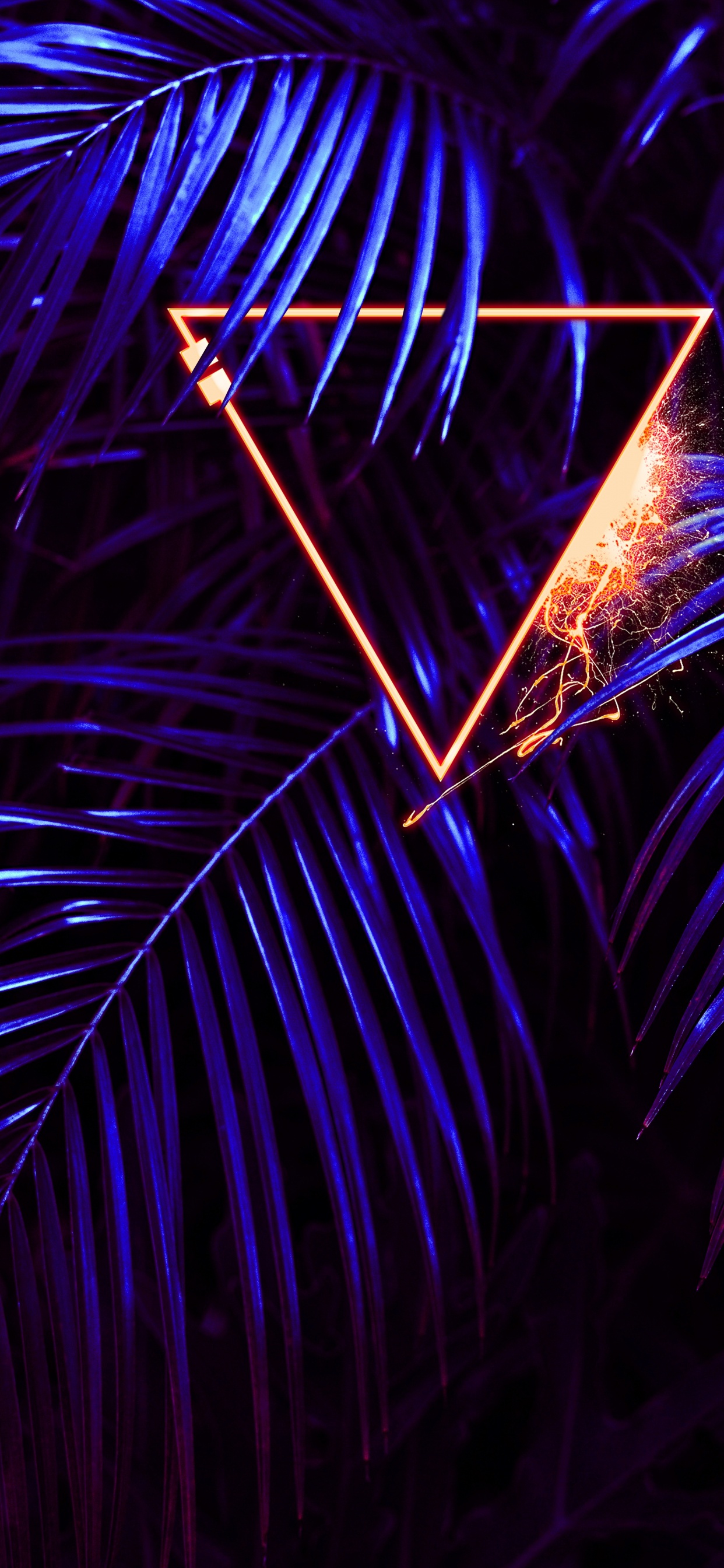 Обои свет, растение, пурпур, синий, дерево в разрешении 1242x2688