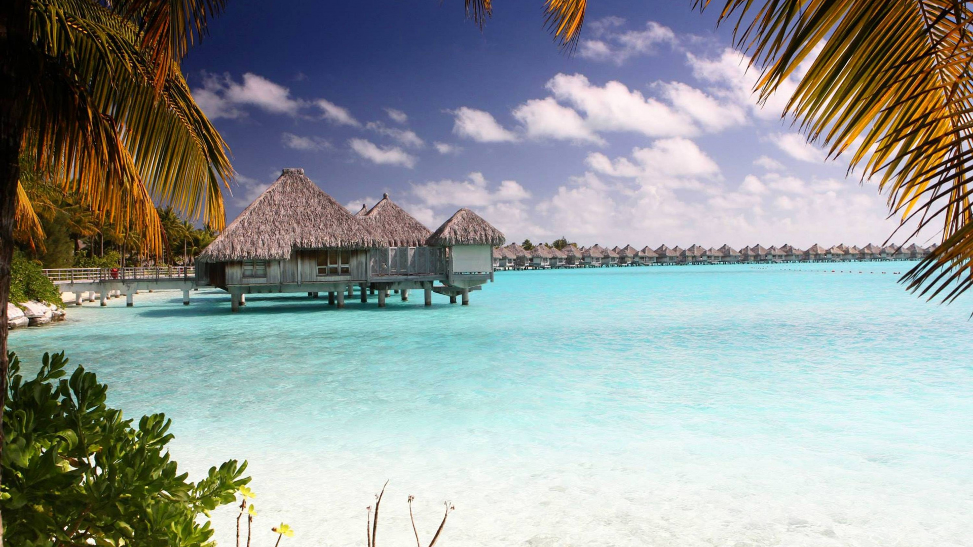 Обои пляж, тропическая зона, отпуск, Карибский бассейн, море в разрешении 1920x1080