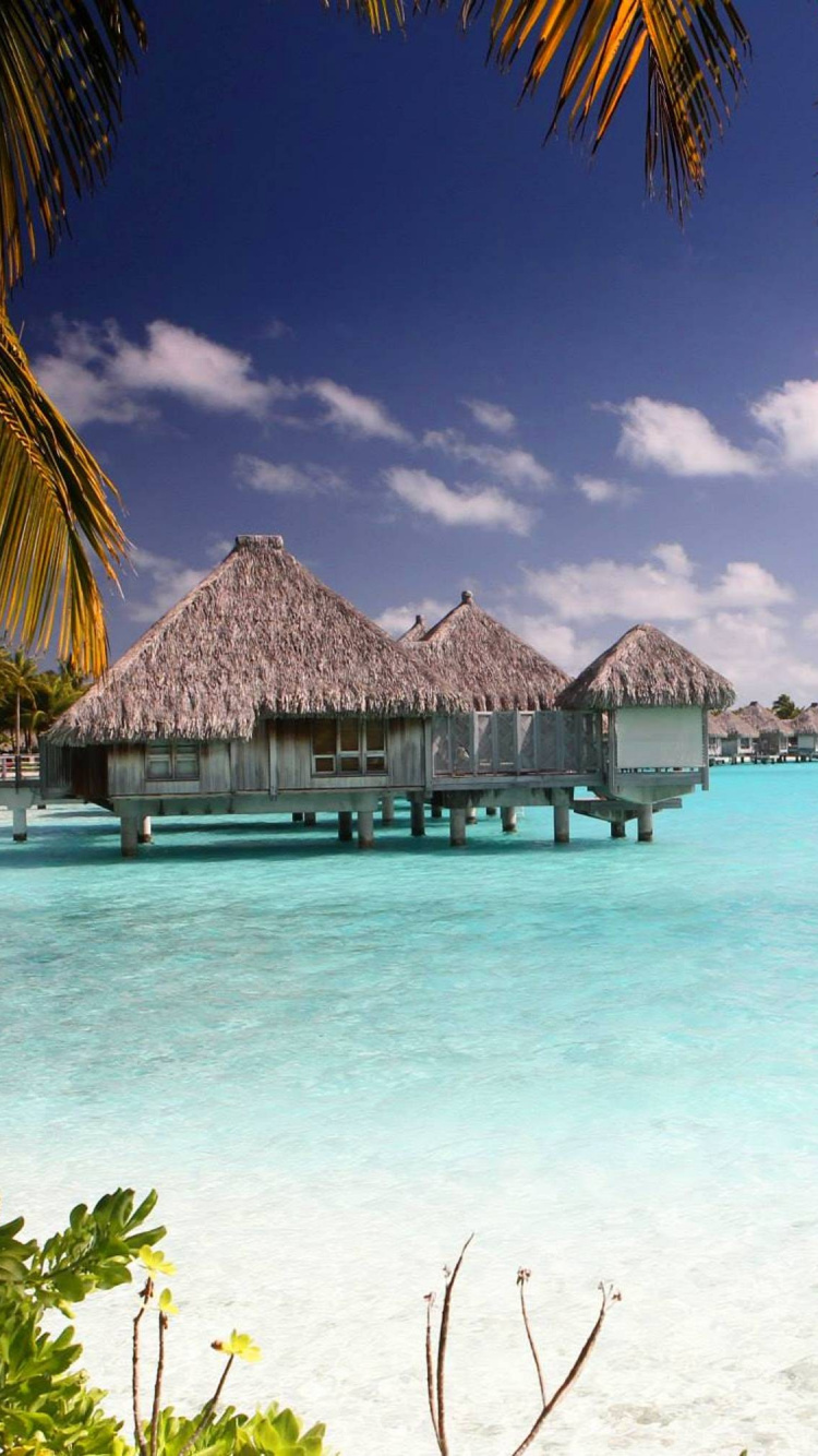 Обои пляж, тропическая зона, отпуск, Карибский бассейн, море в разрешении 750x1334