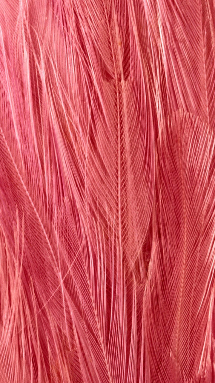 Обои розовый, красный цвет, шерстяные вещи, пурпурный цвет, ткань в разрешении 720x1280