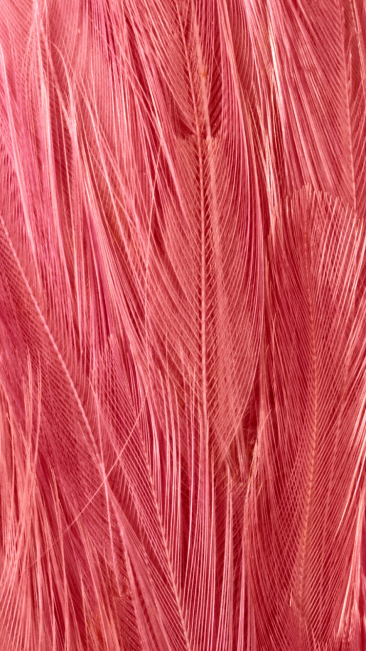 Обои розовый, красный цвет, шерстяные вещи, пурпурный цвет, ткань в разрешении 750x1334