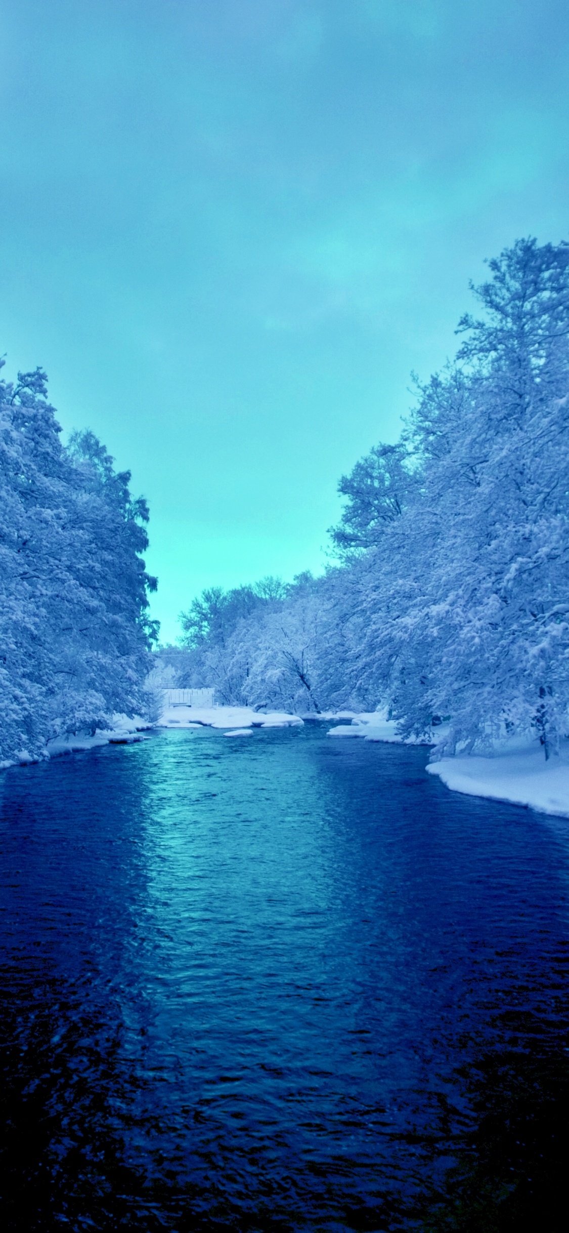 Обои вода, синий цвет, синий, природа, дерево в разрешении 1125x2436