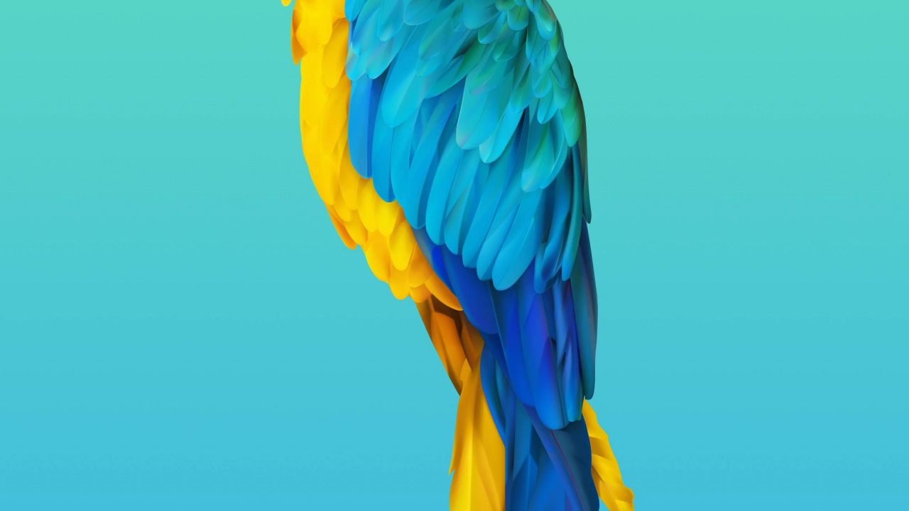 Обои Huawei, Huawei Honor 20, huawei honor 20 pro, честь 20 про, честь вид20 в разрешении 1280x720