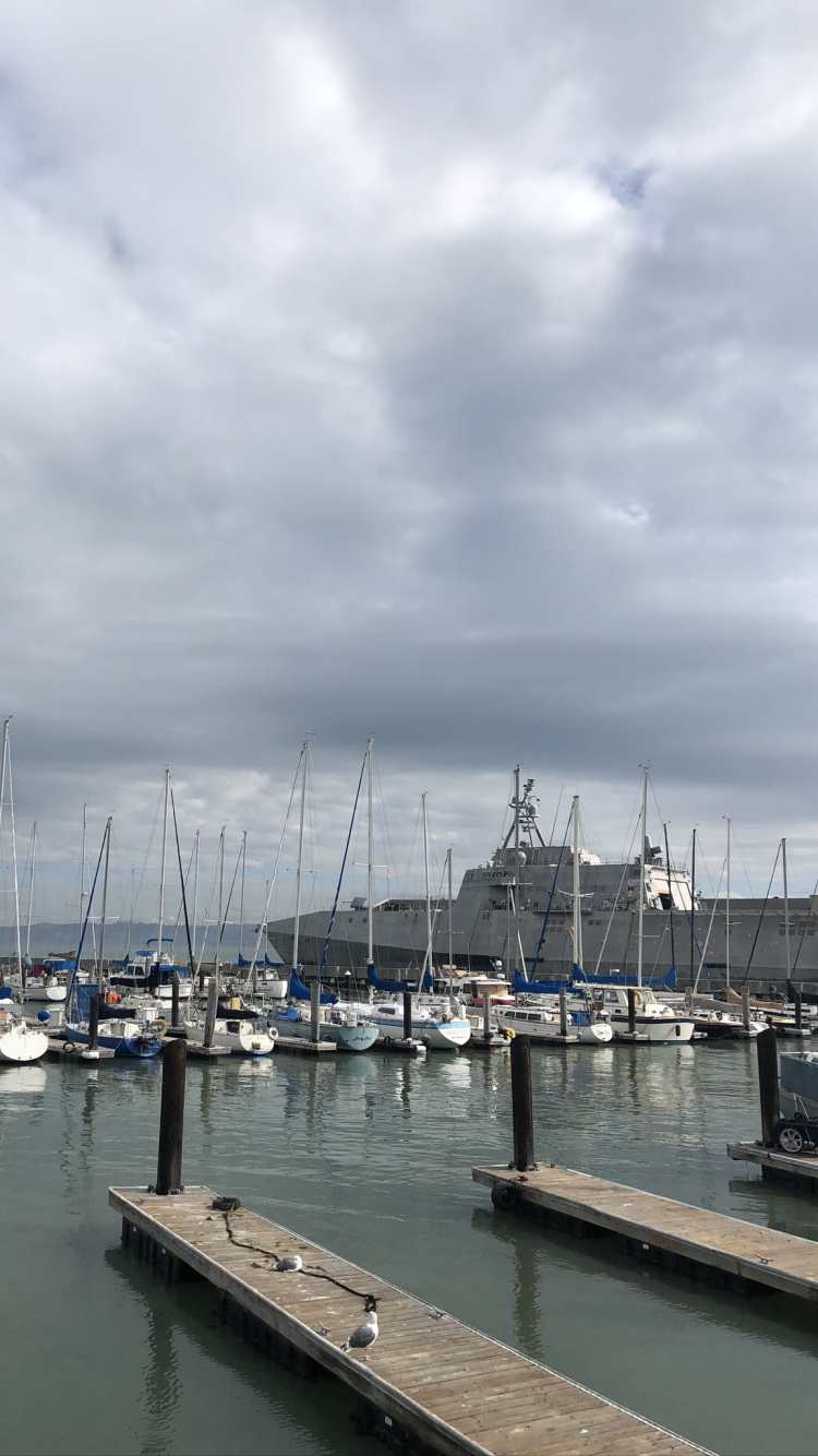 Обои Сан Франциско, Марина, вода, парусная шлюпка, водоем в разрешении 750x1334