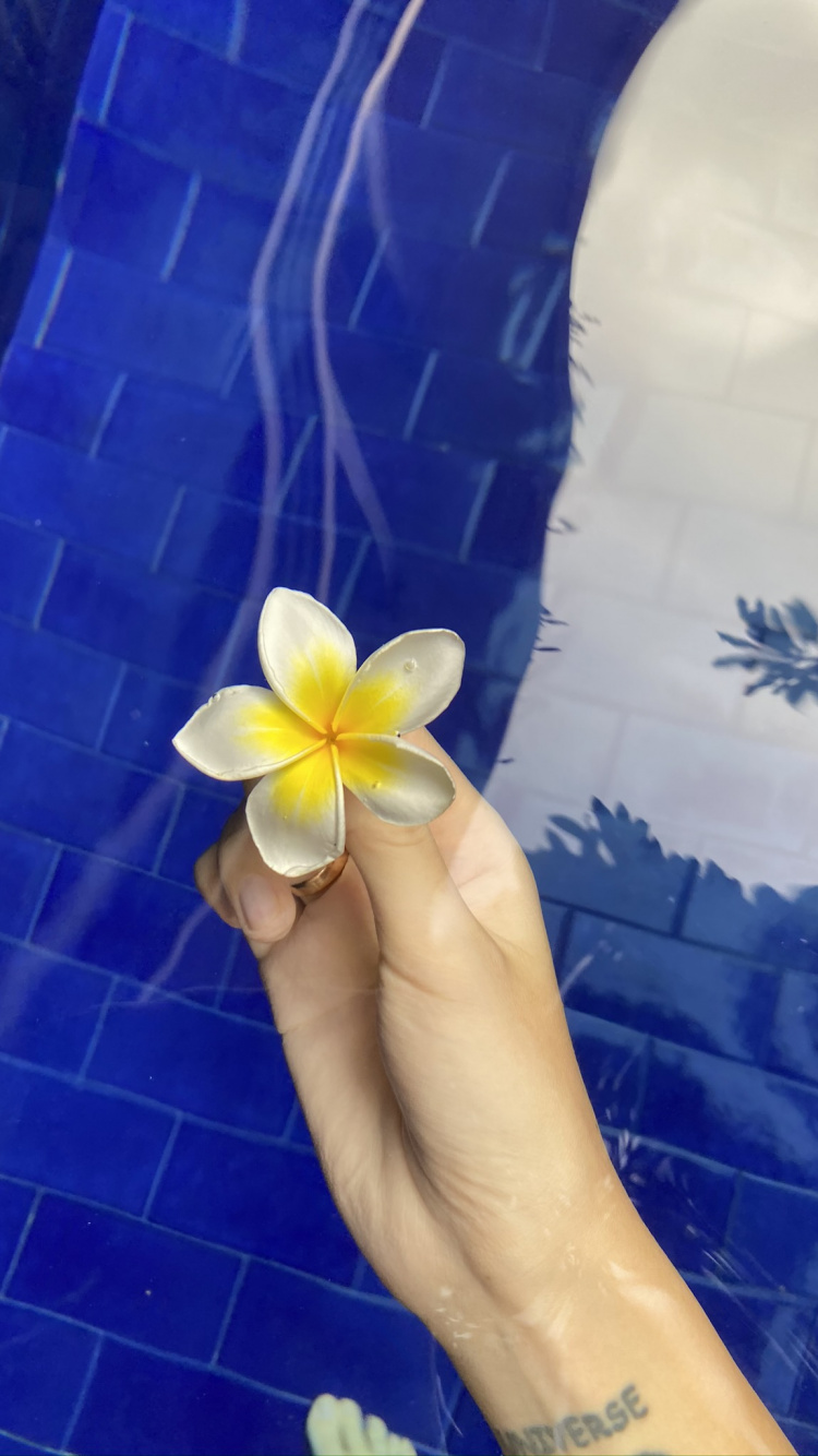 Обои синий кобальт, лепесток, цветок, франжипани, мажорель синий в разрешении 750x1334