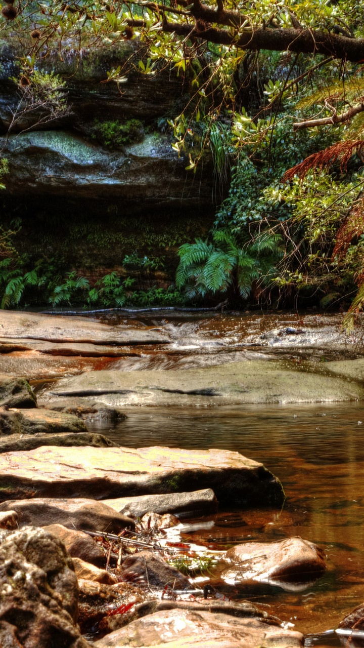 Обои природа, водопад, Уэнтворт-Фолс, водоток, водоем в разрешении 720x1280