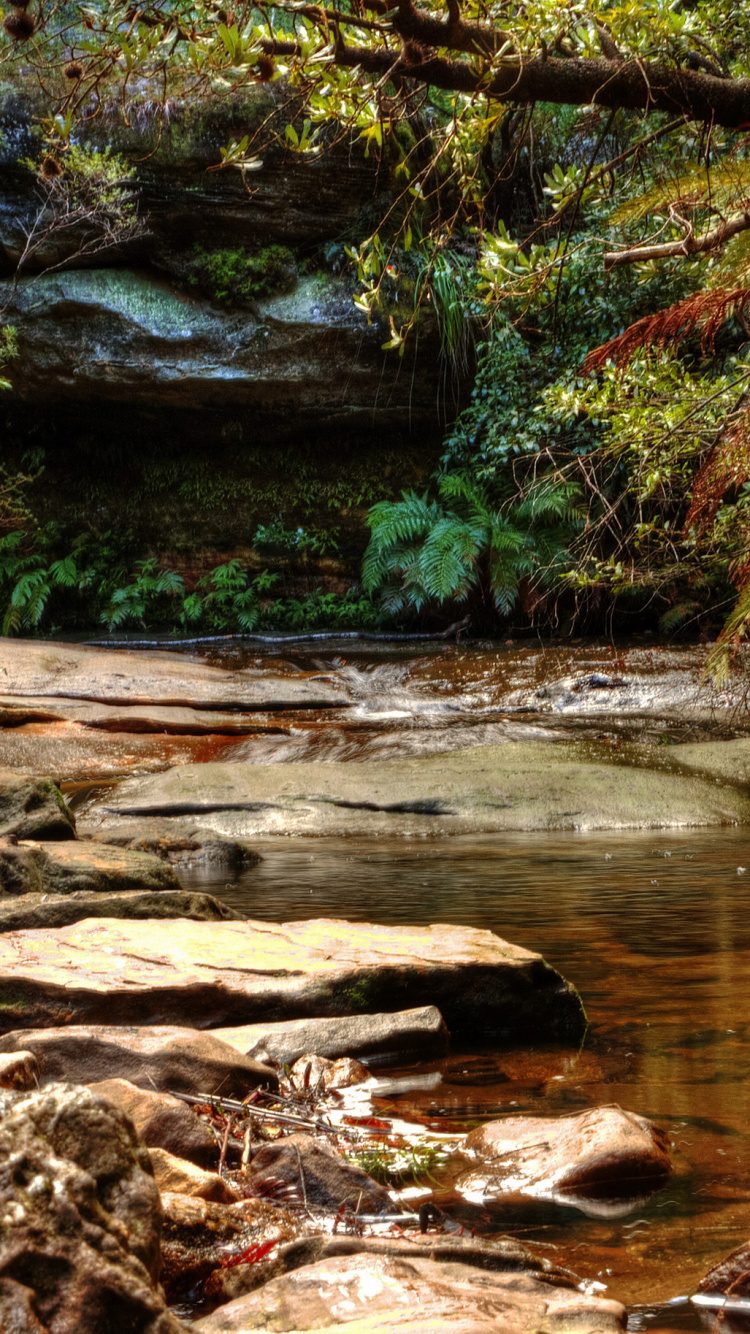 Обои природа, водопад, Уэнтворт-Фолс, водоток, водоем в разрешении 750x1334