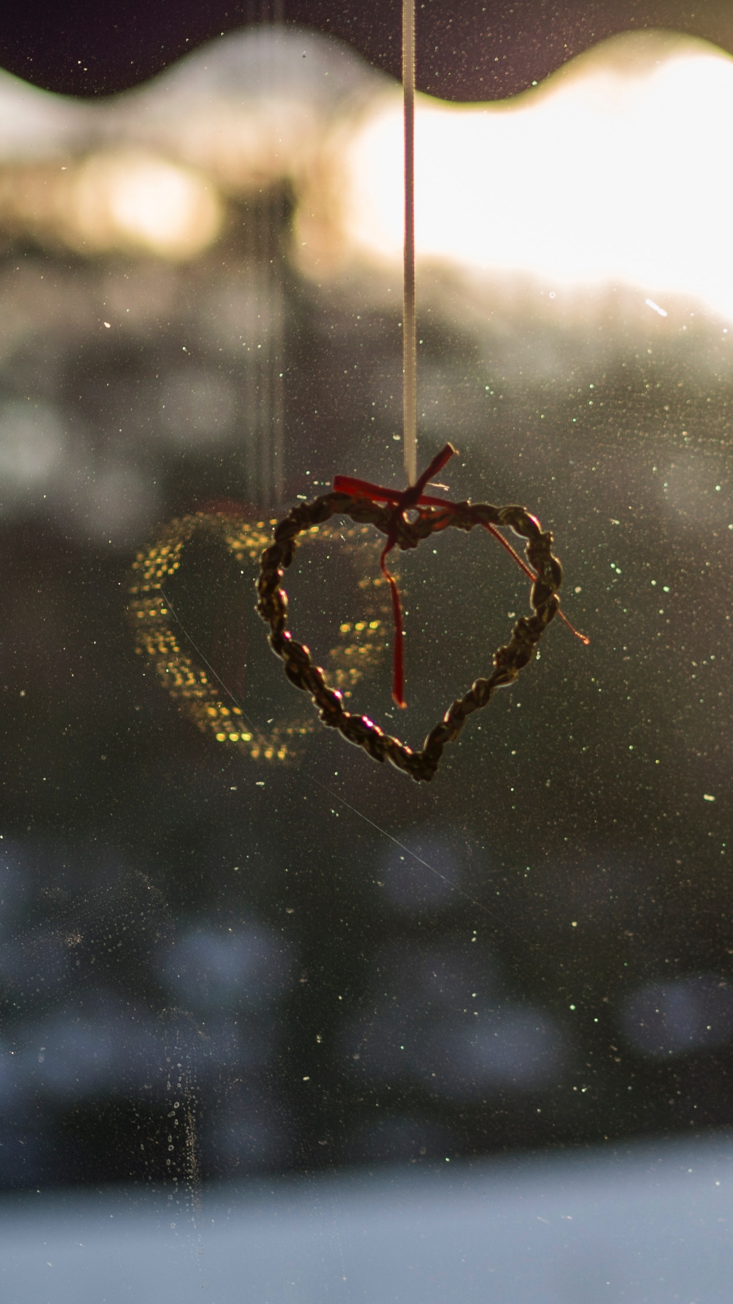 Обои вода, свет, ветвь, утро, лист в разрешении 1440x2560