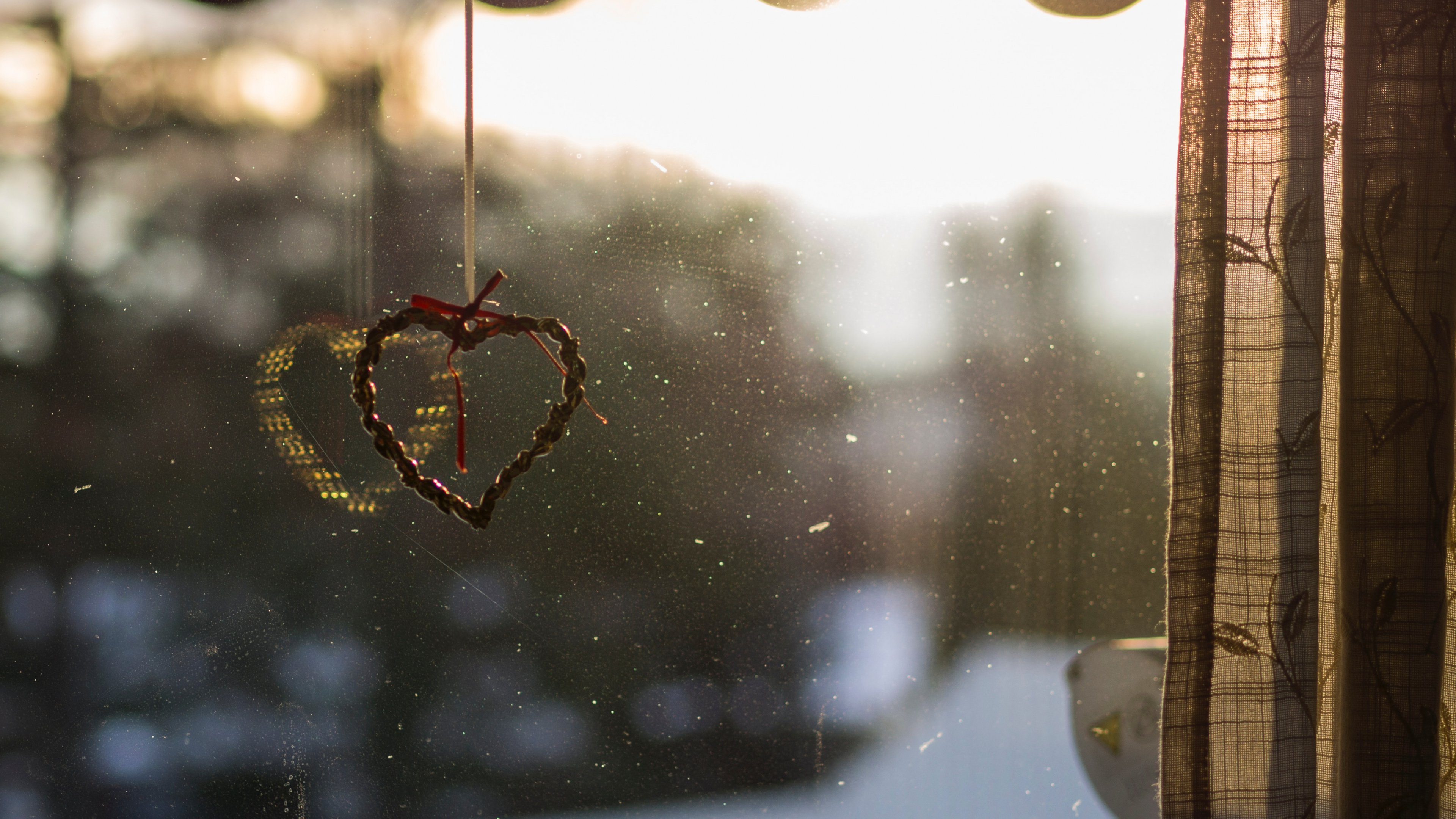 Обои вода, свет, ветвь, утро, лист в разрешении 3840x2160