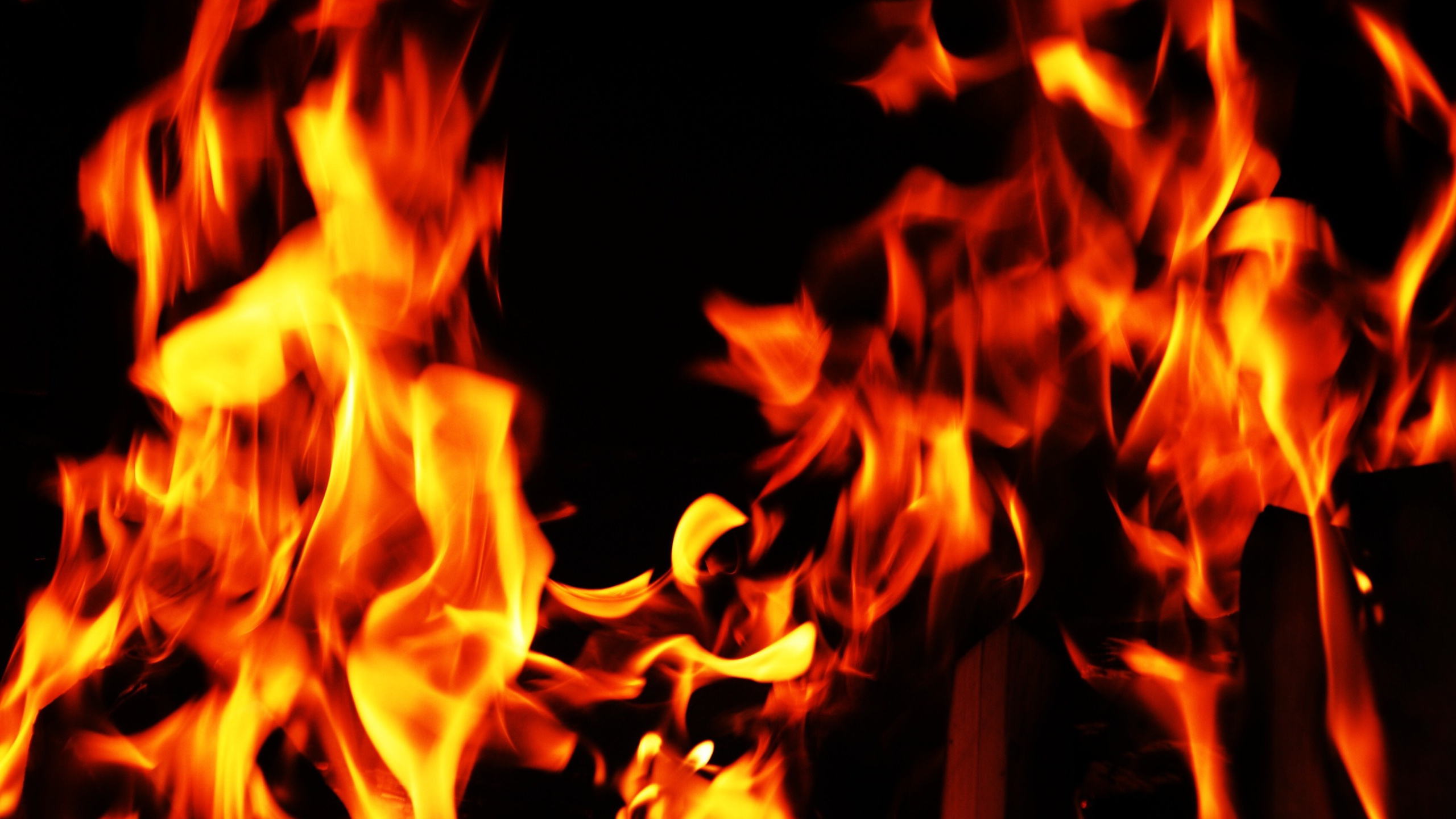 Обои огонь, пламя, тепло в разрешении 2560x1440