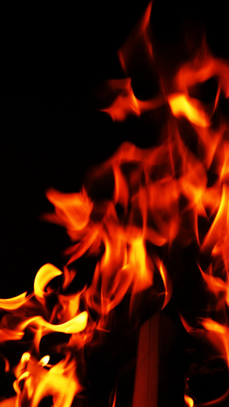 Обои огонь, пламя, тепло в разрешении 750x1334