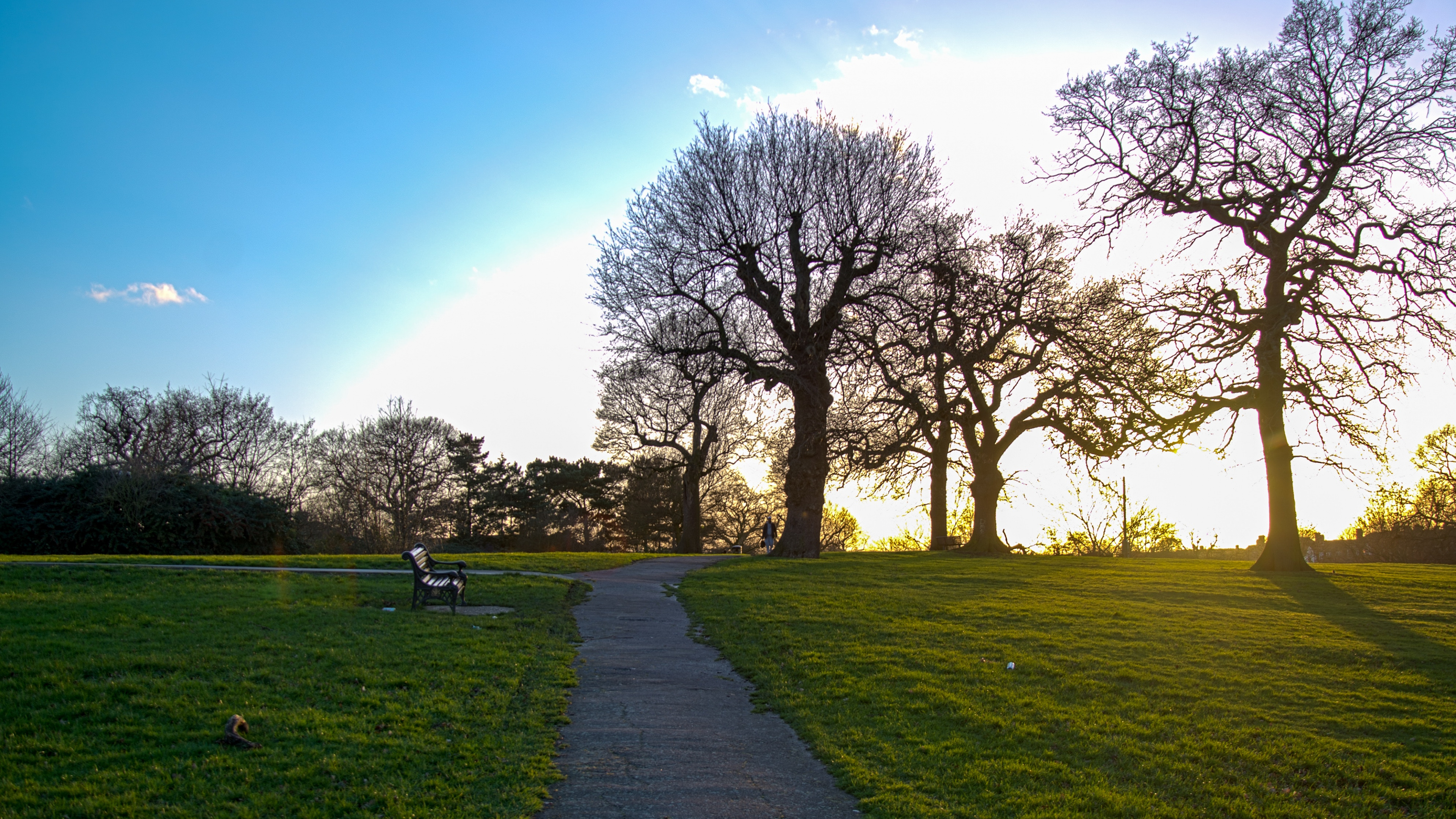 Обои природа, природный ландшафт, зеленый, дерево, утро в разрешении 3840x2160