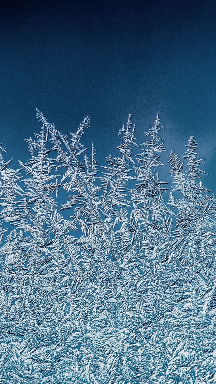 Обои зима, иллюстрация, лазурный, прут, природный ландшафт в разрешении 720x1280