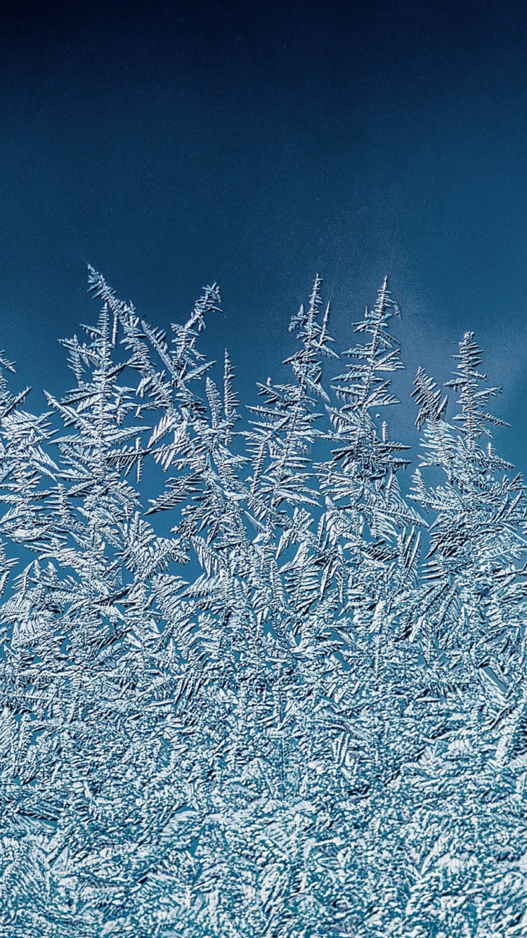 Обои зима, иллюстрация, лазурный, прут, природный ландшафт в разрешении 750x1334