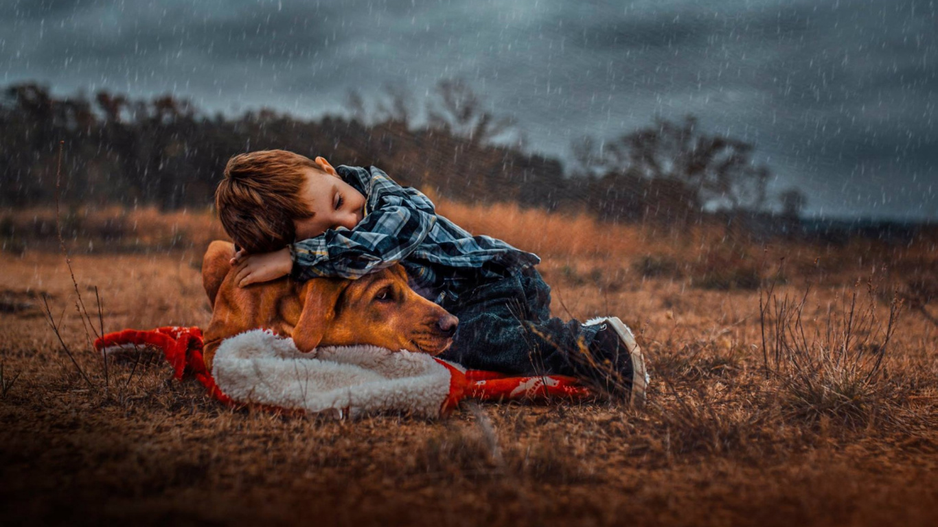Обои экорегион, дерево, забава, дождь собаки мальчика, девушка в разрешении 1366x768