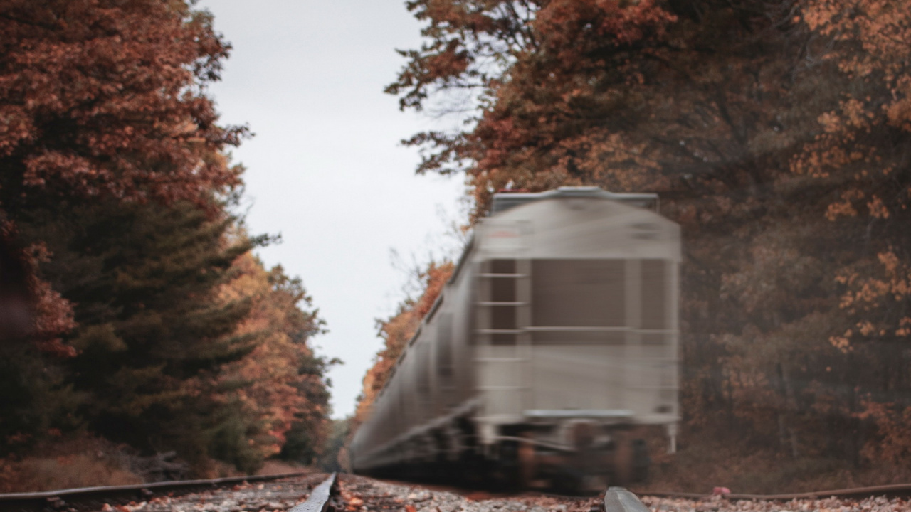 Обои арт, поезд, растение, трек, древесина в разрешении 1280x720