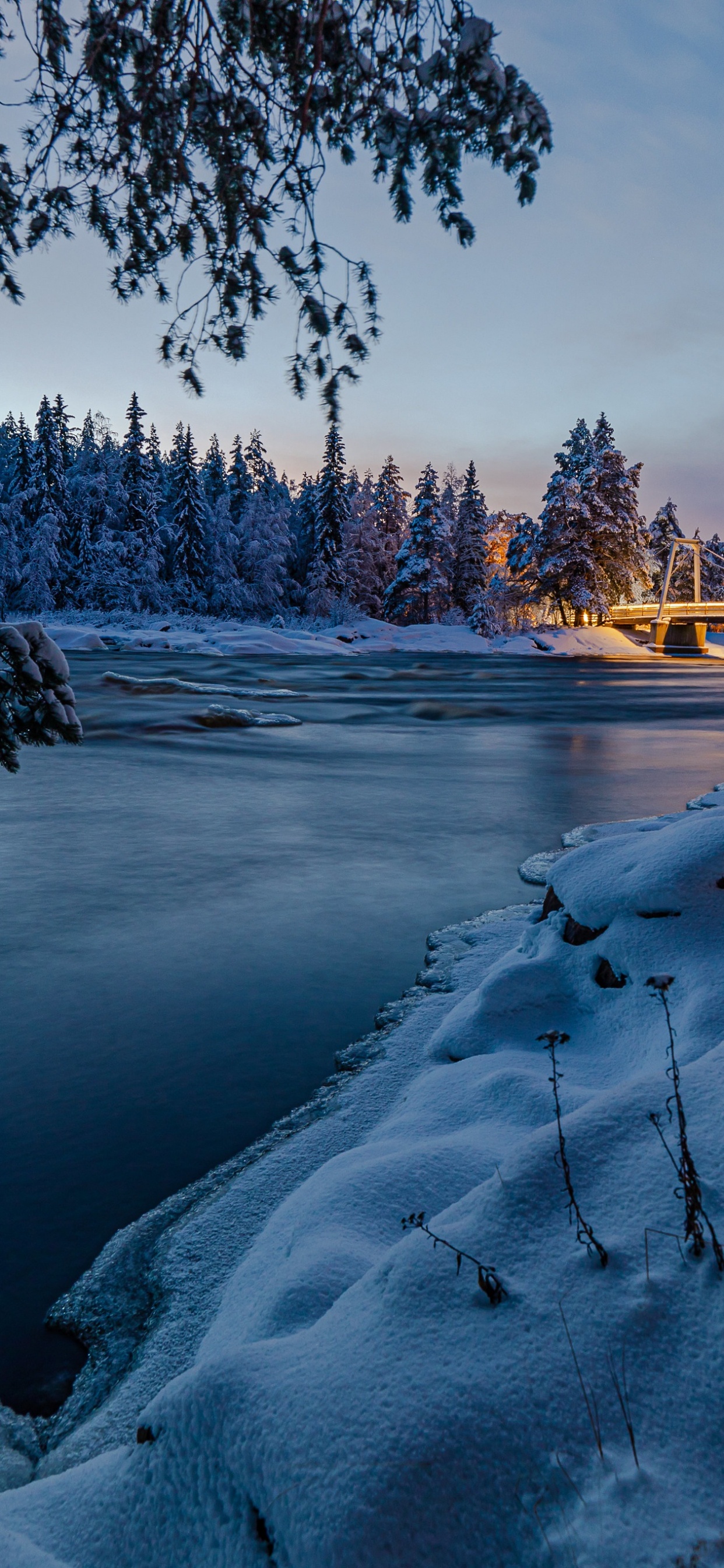 Обои Финляндия, вода, облако, растение, природный ландшафт в разрешении 1242x2688