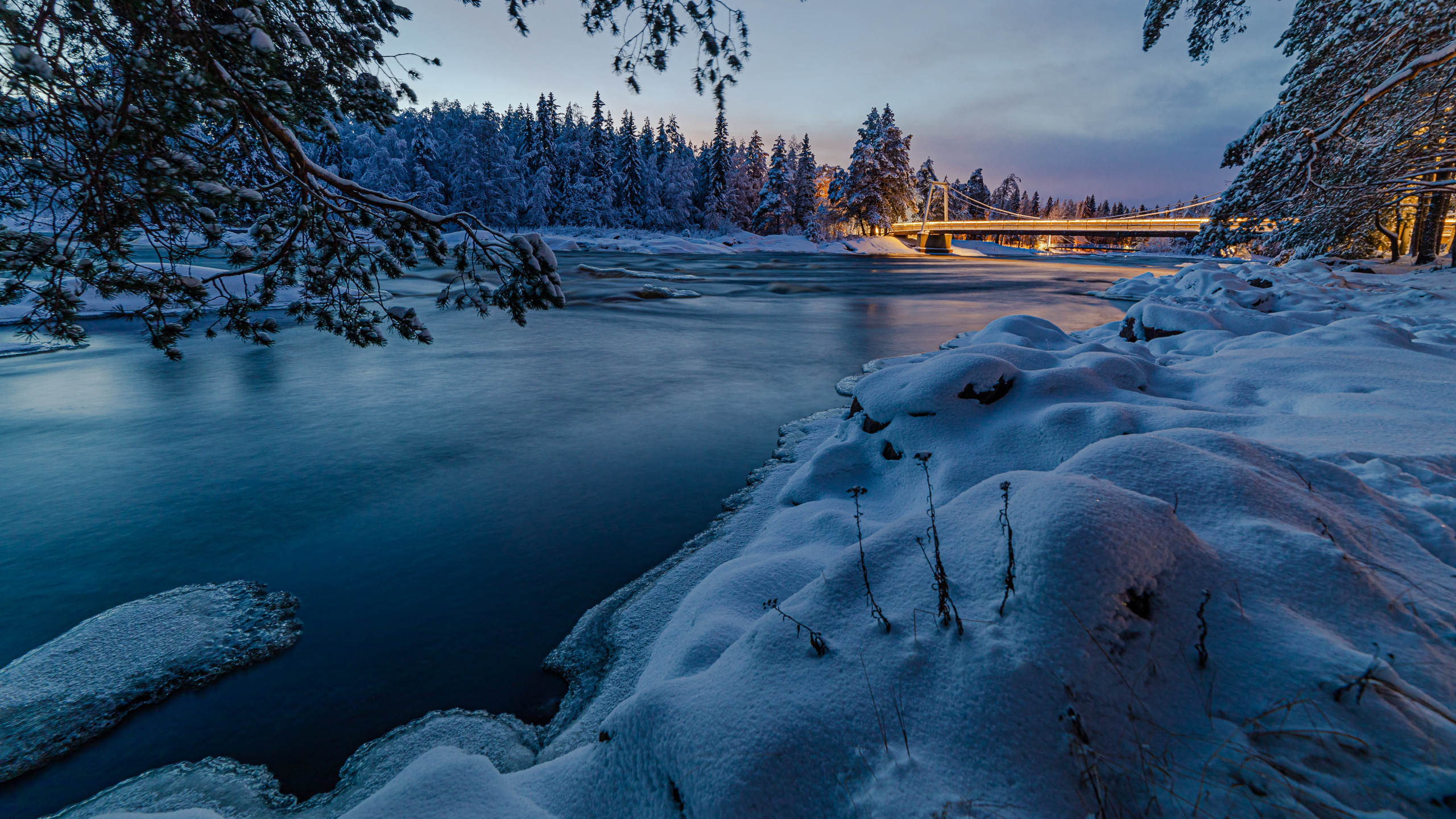 Обои Финляндия, вода, облако, растение, природный ландшафт в разрешении 2560x1440