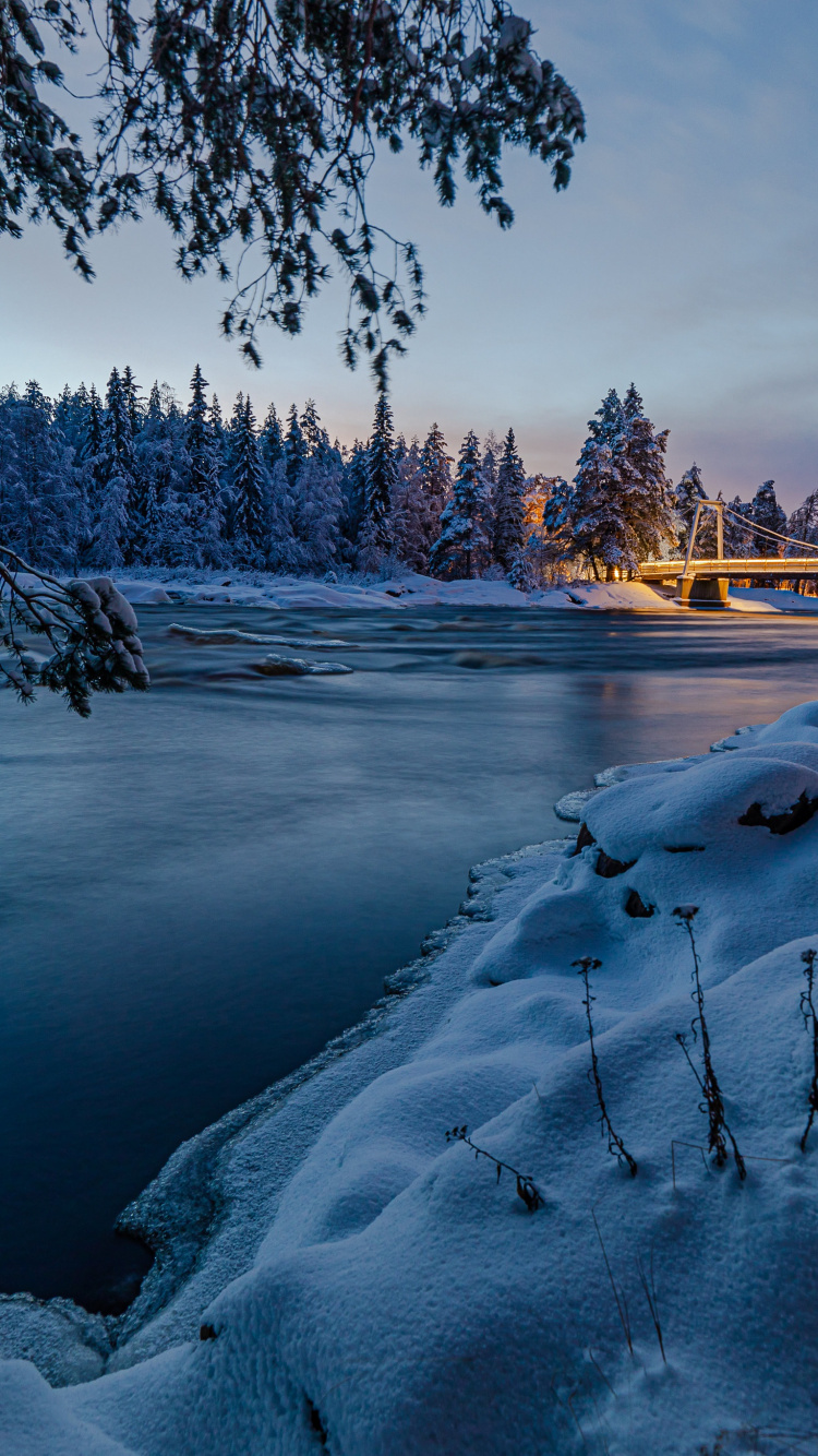 Обои Финляндия, вода, облако, растение, природный ландшафт в разрешении 750x1334