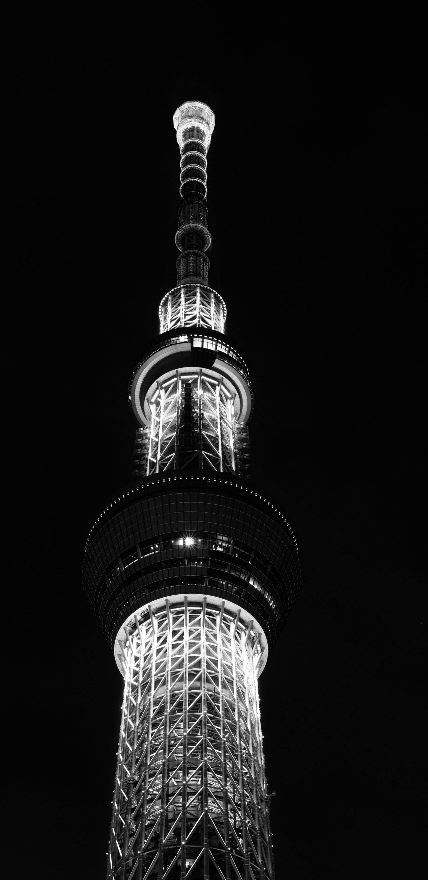 Обои Токио, вышка, ночь, черный и белый, черный в разрешении 1440x2960