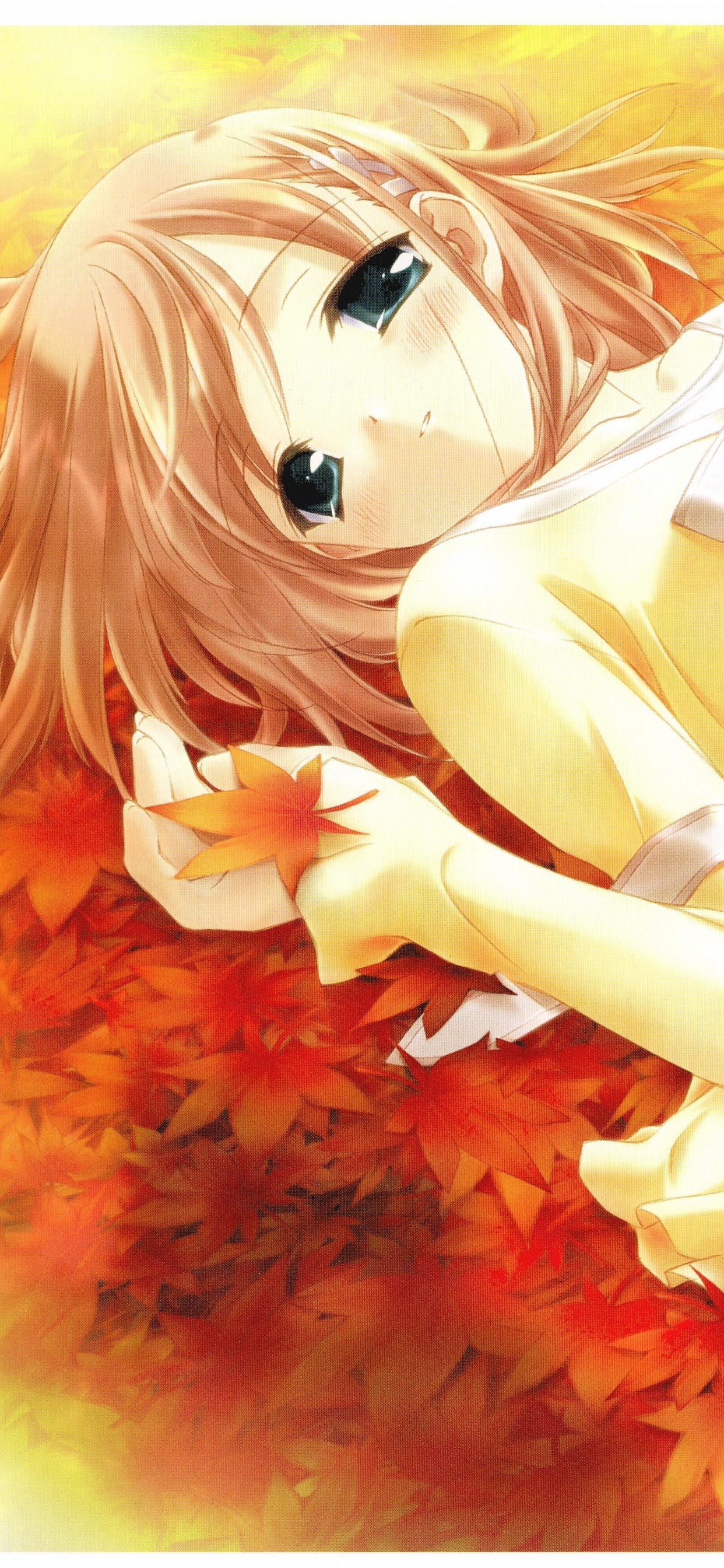 Обои аниме, Манга, иллюстрация, Centerblog, Манга Shnen в разрешении 1242x2688