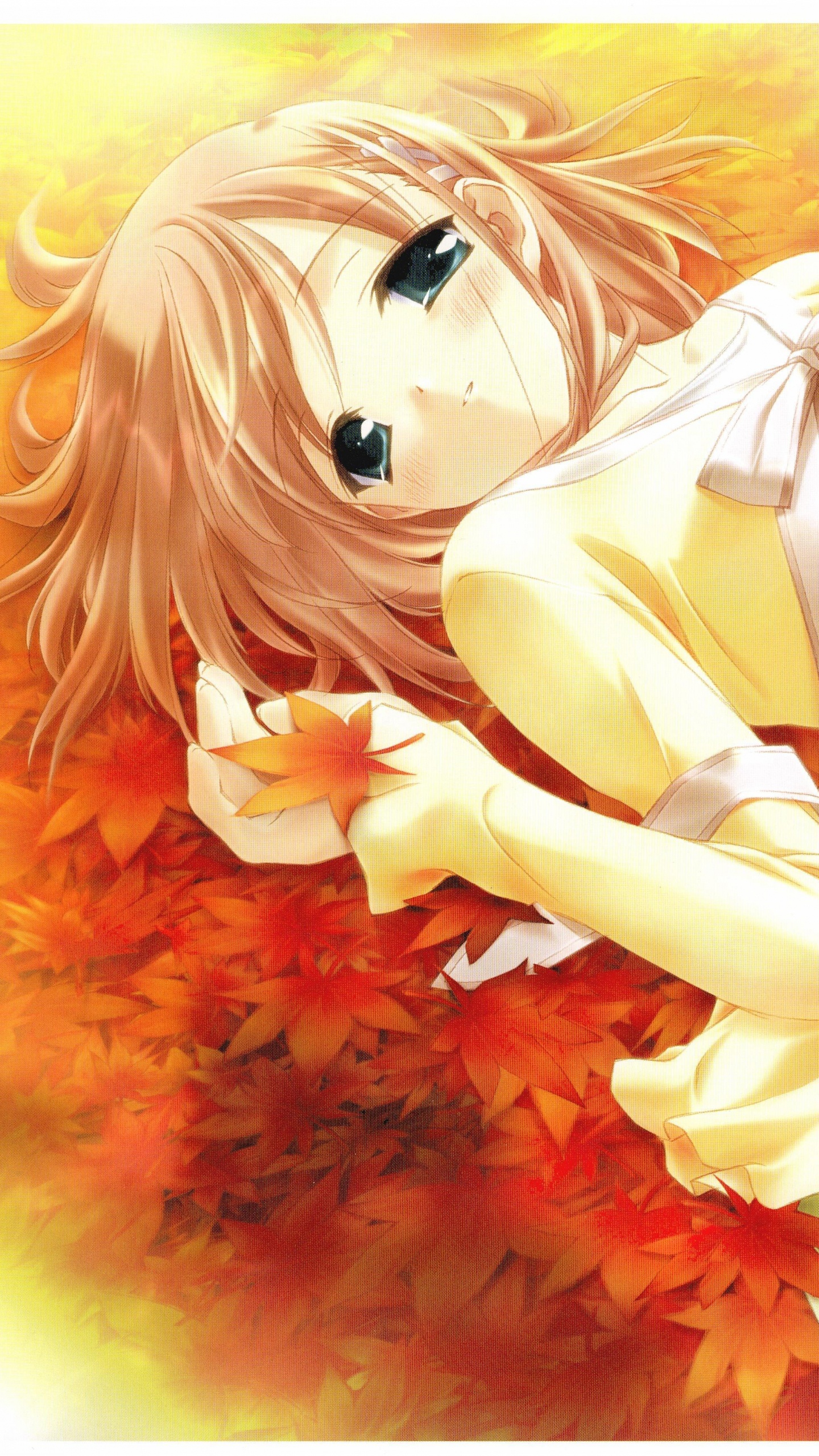 Обои аниме, Манга, иллюстрация, Centerblog, Манга Shnen в разрешении 1440x2560