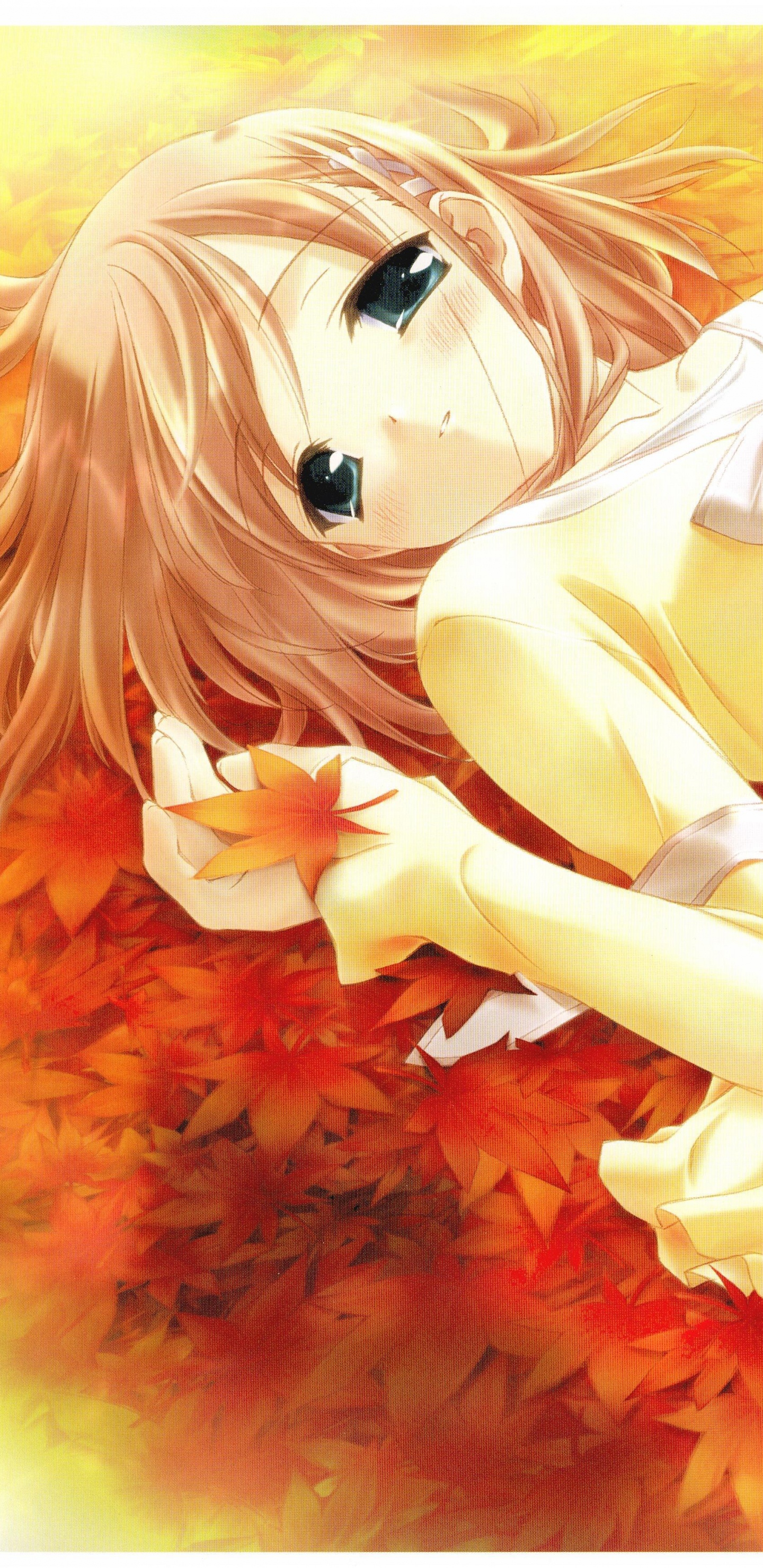 Обои аниме, Манга, иллюстрация, Centerblog, Манга Shnen в разрешении 1440x2960