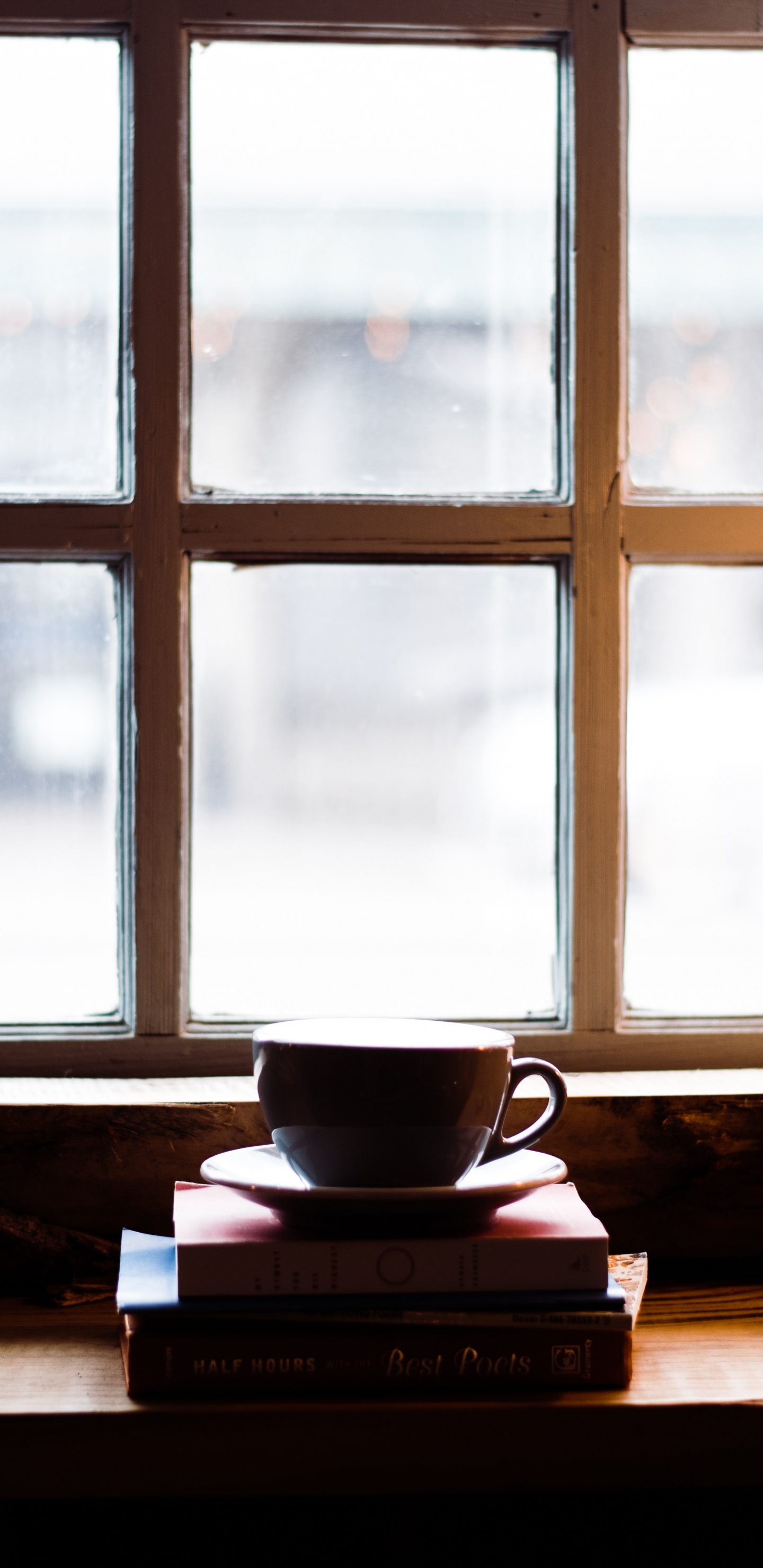 Обои окно, свет, комната, дневное освещение, стекло в разрешении 1440x2960