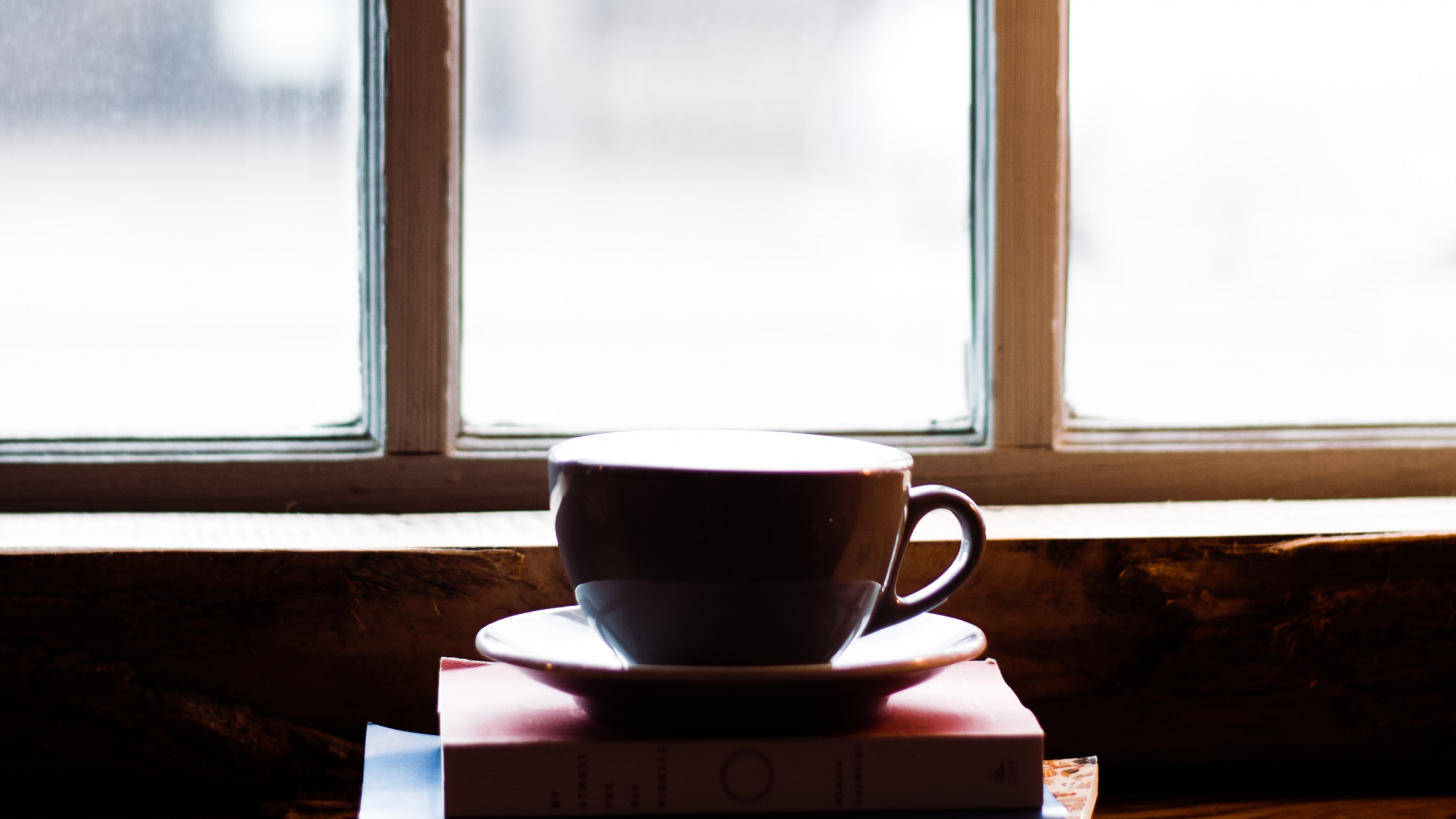 Обои окно, свет, комната, дневное освещение, стекло в разрешении 2560x1440