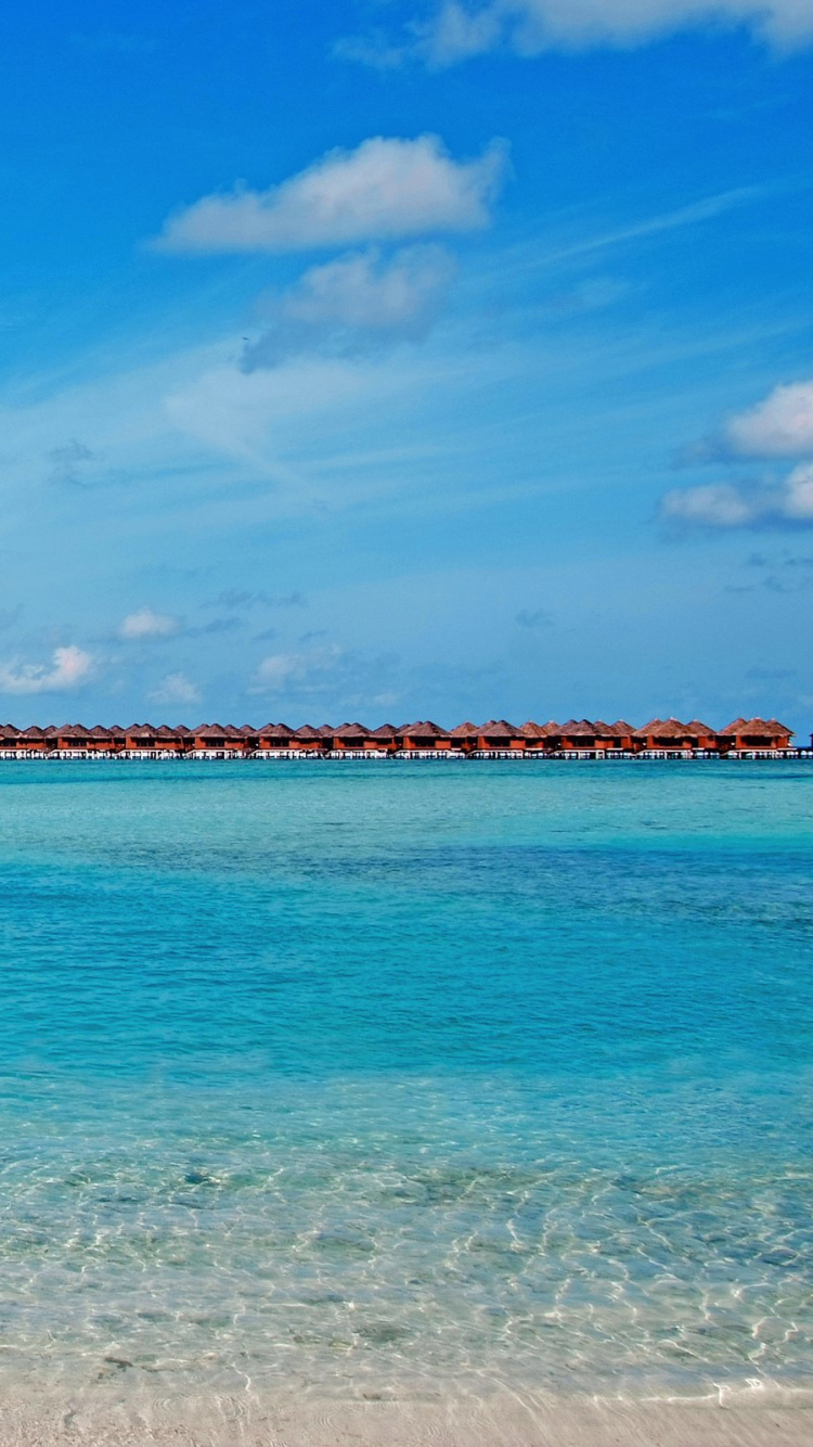 Обои пляж, водоем, море, океан, прибрежные и океанические рельефы в разрешении 750x1334