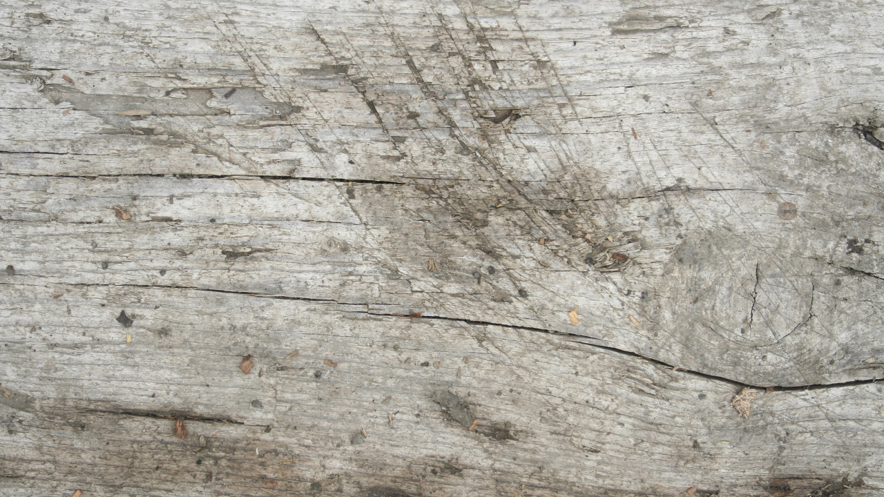 Обои древесина, обнажение, каменная стена, текстура, рок в разрешении 1280x720