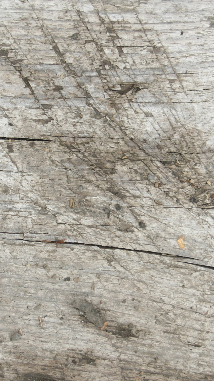 Обои древесина, обнажение, каменная стена, текстура, рок в разрешении 750x1334