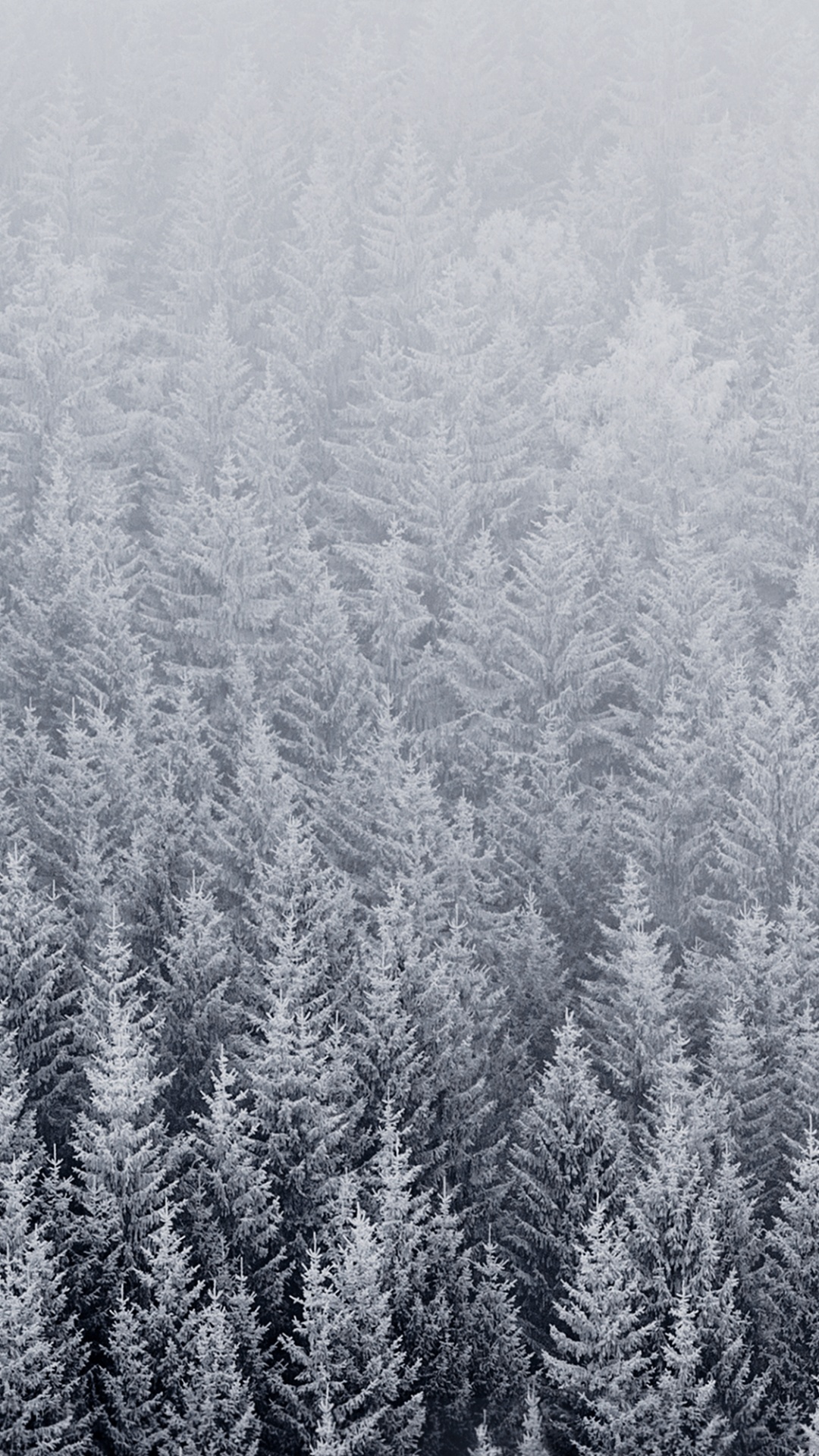 Обои ios, iOS 8, яблоко, растение, растительное сообщество в разрешении 1080x1920