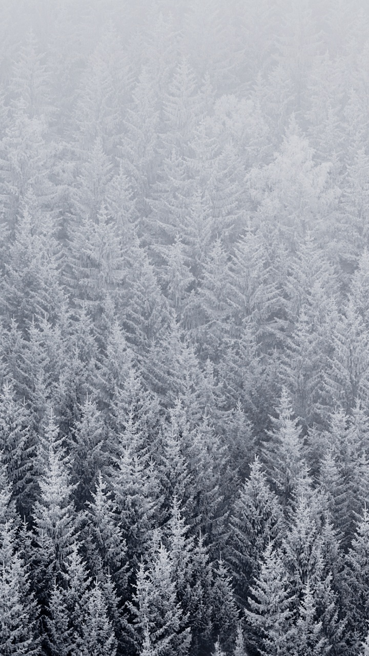 Обои ios, iOS 8, яблоко, растение, растительное сообщество в разрешении 720x1280