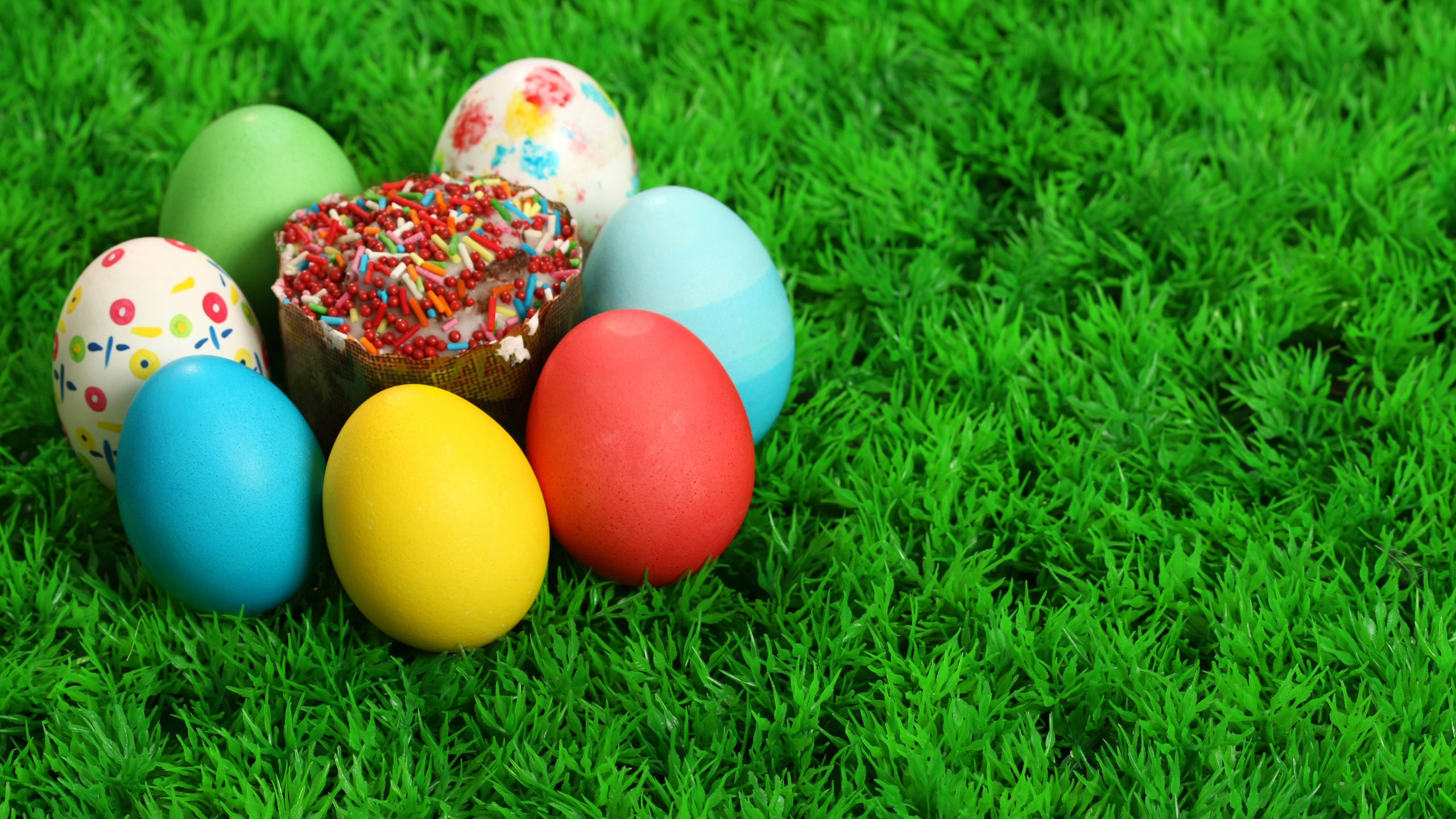Обои пасхальное яйцо, пасха, газон, трава, луг в разрешении 2560x1440