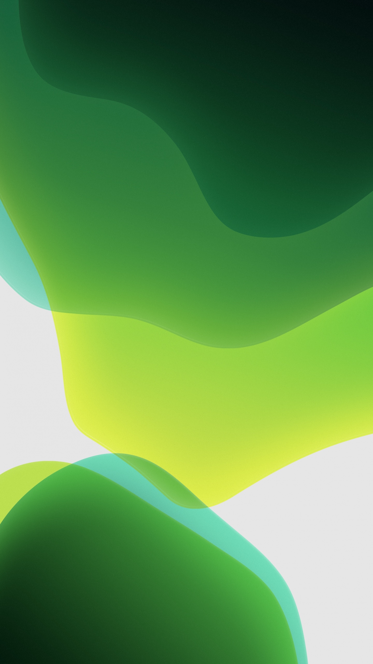 Обои айпад, apple, iOS 13, WWDC 2019, яблоко в разрешении 1440x2560