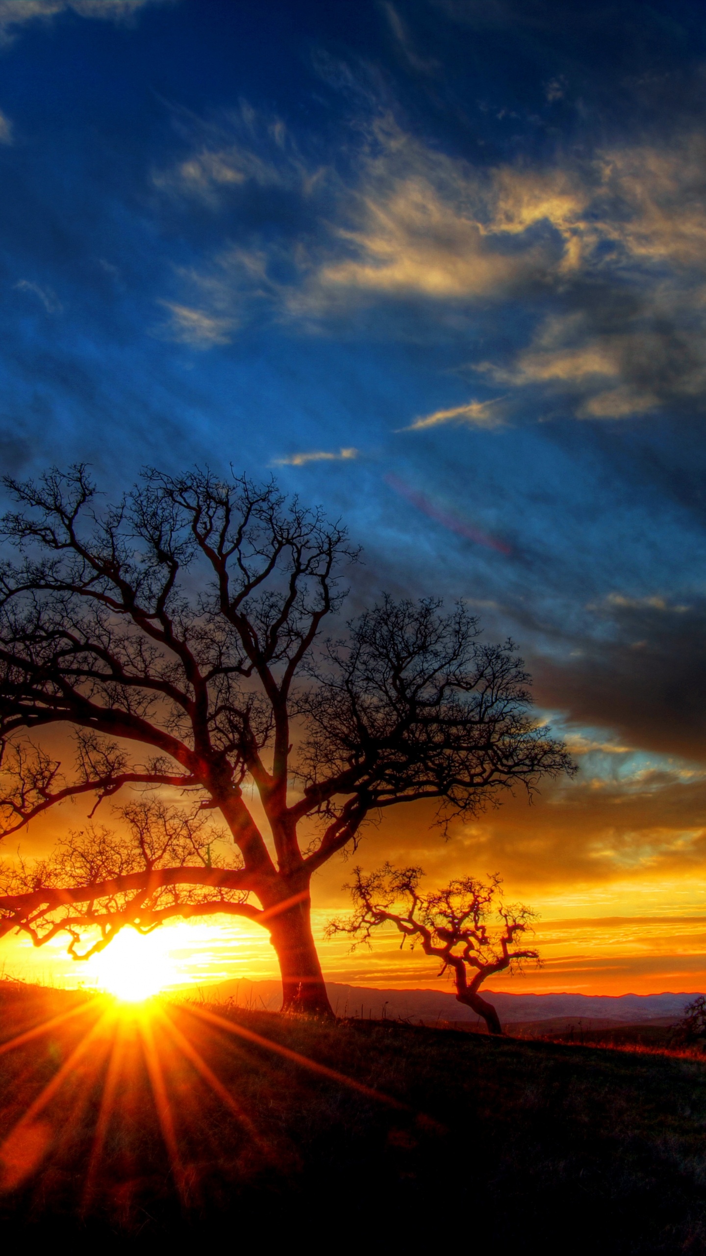 Обои закат, природа, облако, послесвечение, восход солнца в разрешении 1440x2560