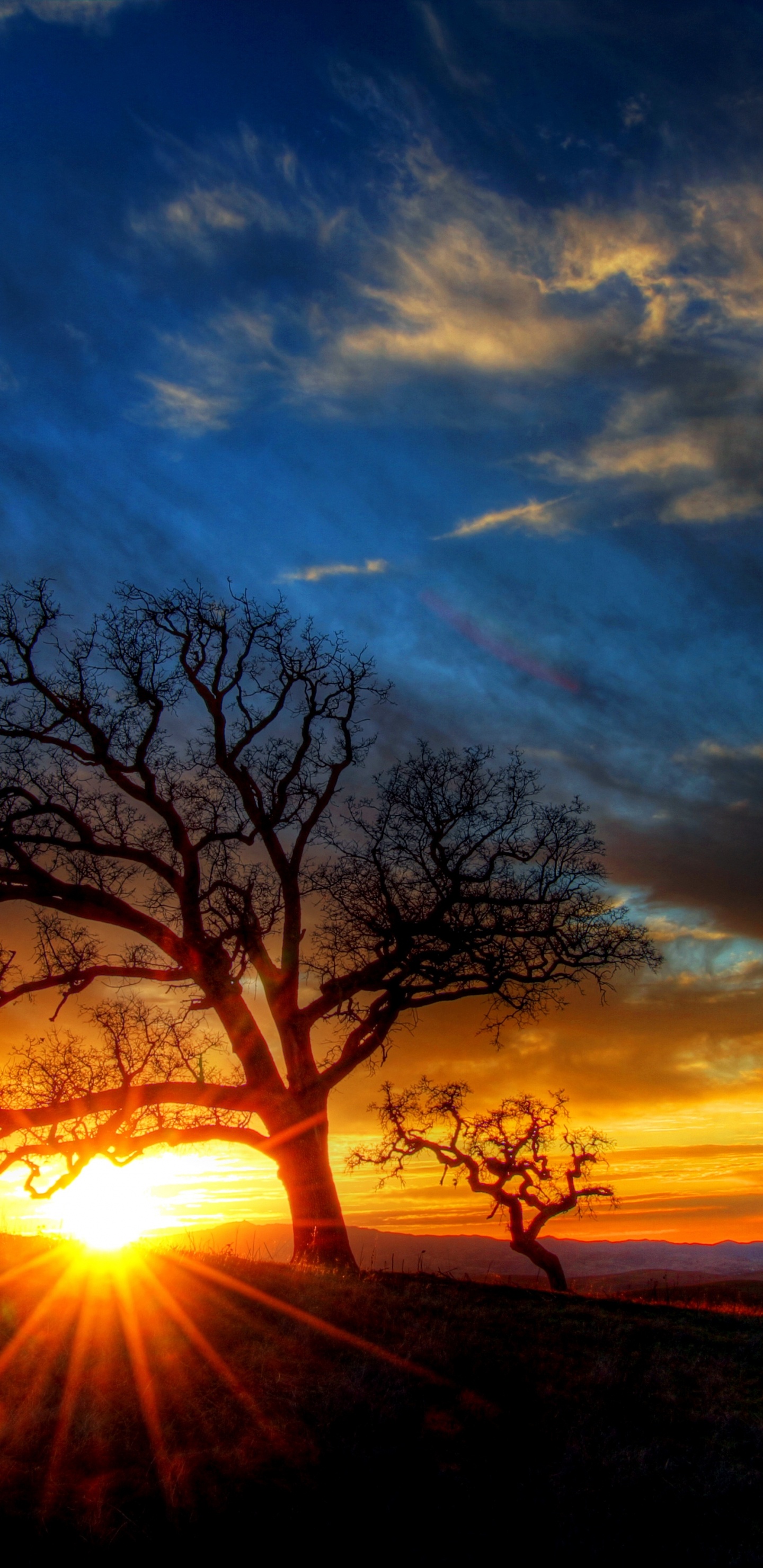 Обои закат, природа, облако, послесвечение, восход солнца в разрешении 1440x2960