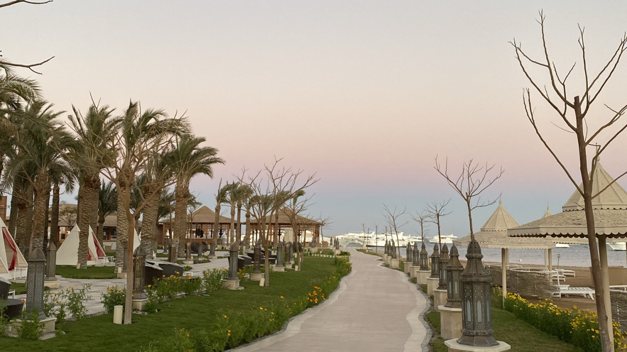 Обои пальмовые рощи, дорога, растение, инфраструктура, вода в разрешении 1280x720