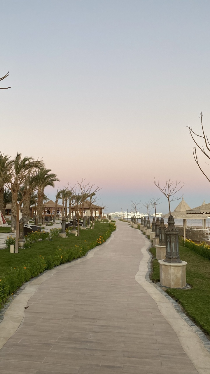 Обои пальмовые рощи, дорога, растение, инфраструктура, вода в разрешении 720x1280