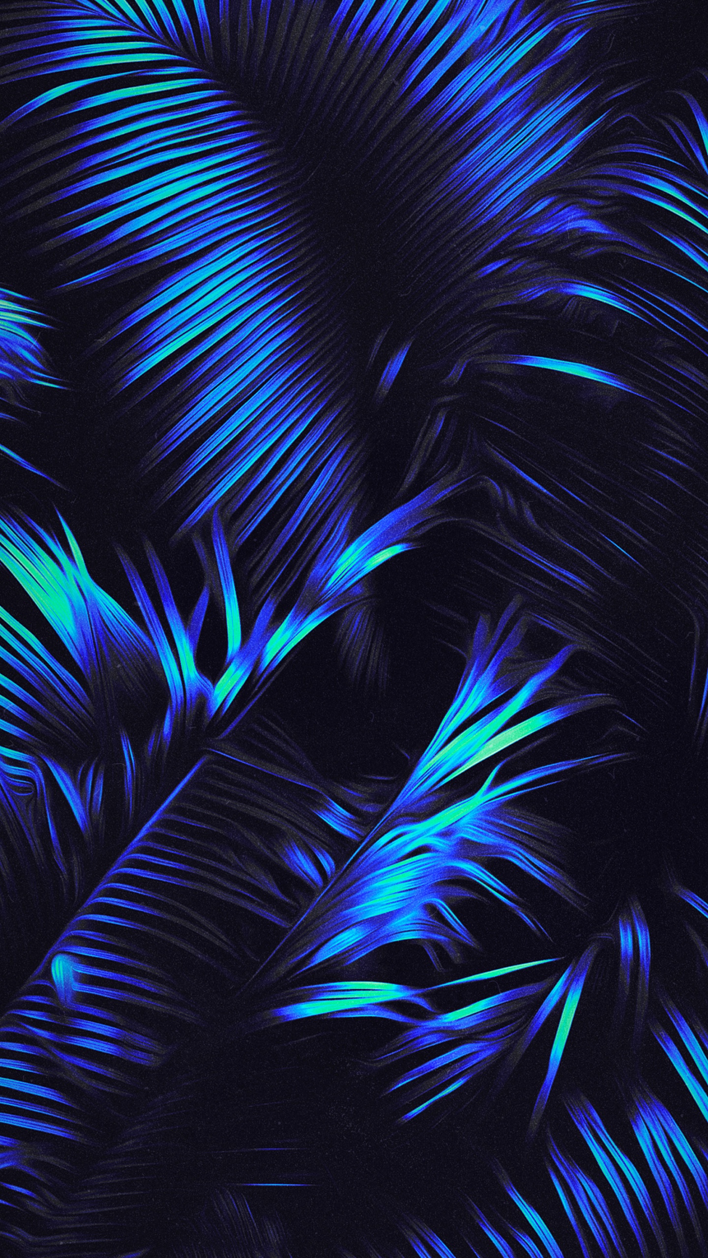 Обои синий, лазурный, наземное растение, электрик, узор в разрешении 1440x2560