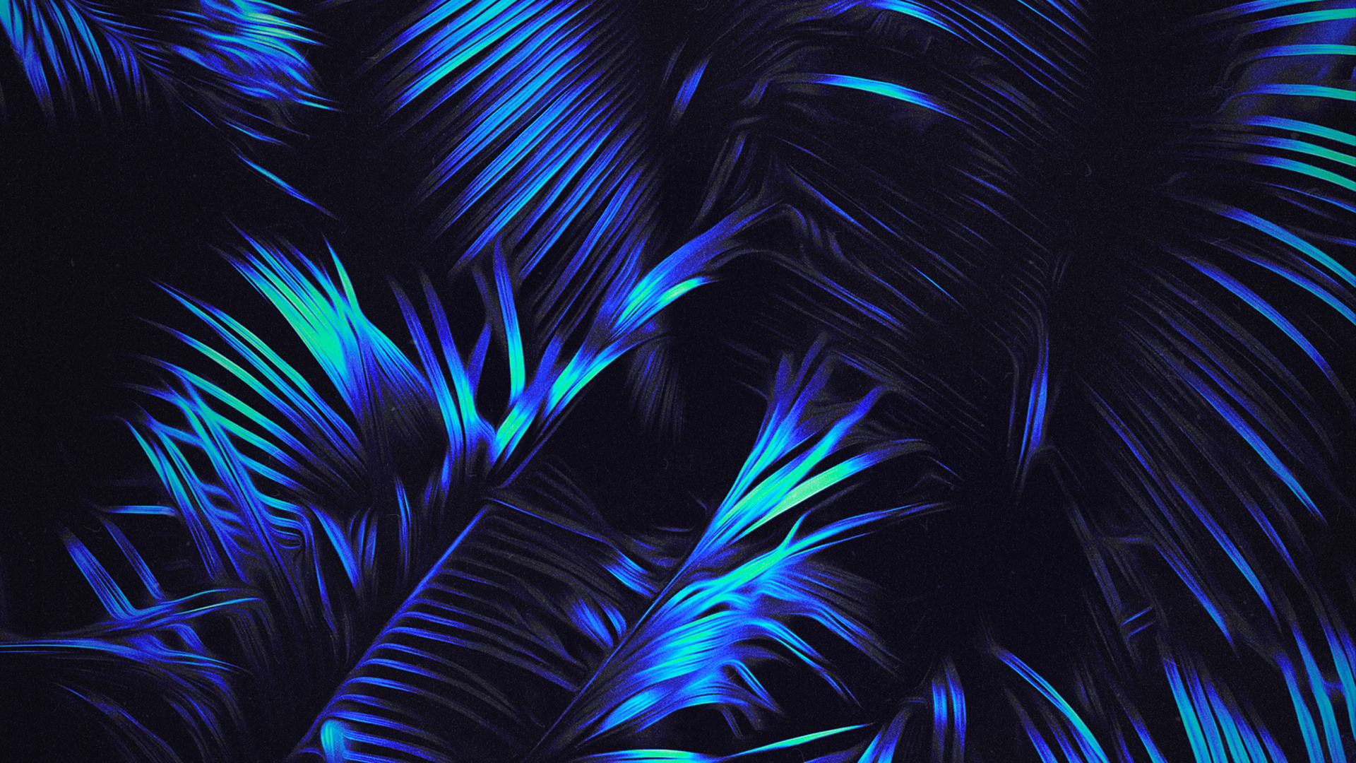 Обои синий, лазурный, наземное растение, электрик, узор в разрешении 1920x1080